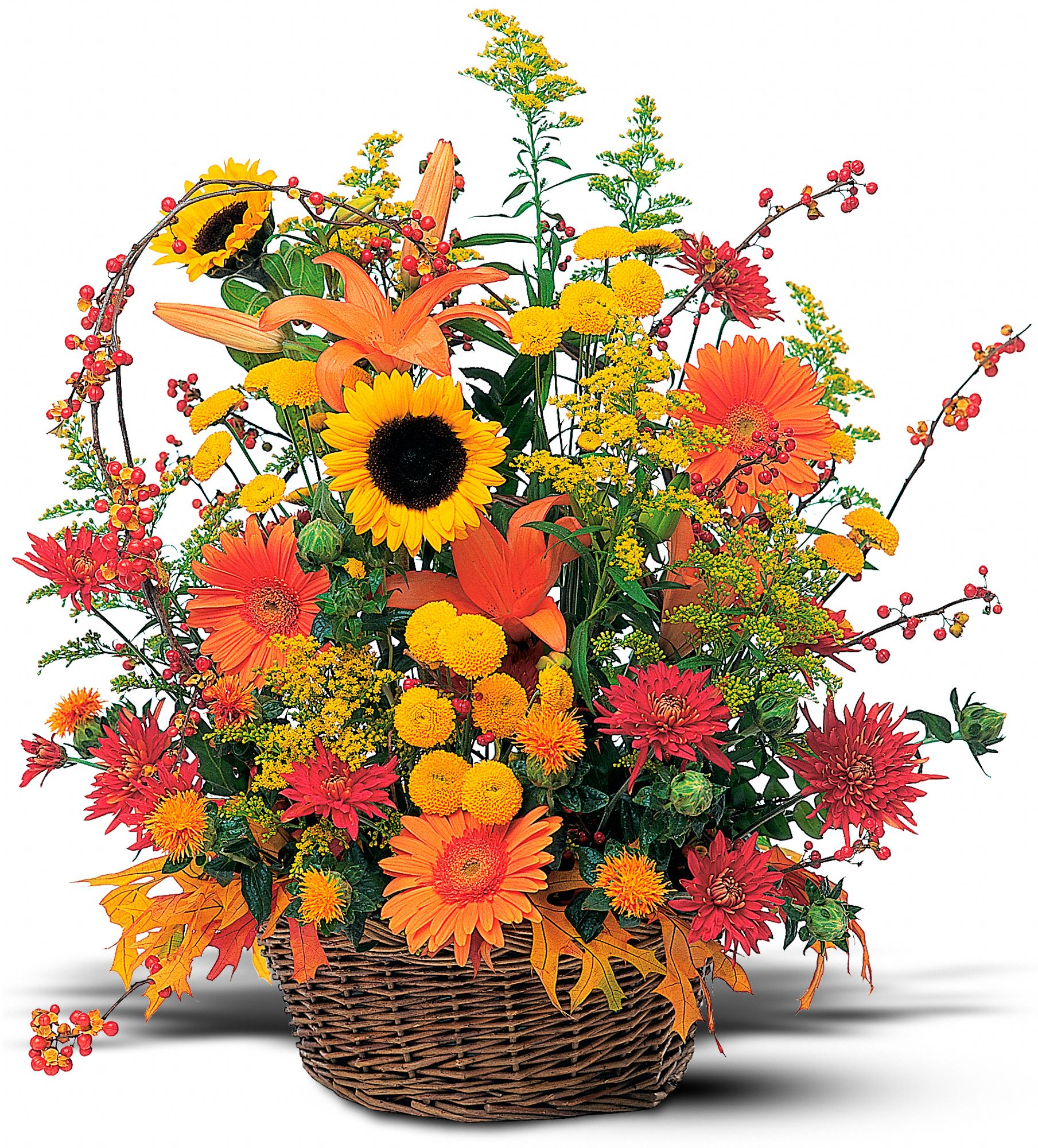 Majestic Fall in New Port Richey&nbsp;FL, Cottage Florist Of Trinity