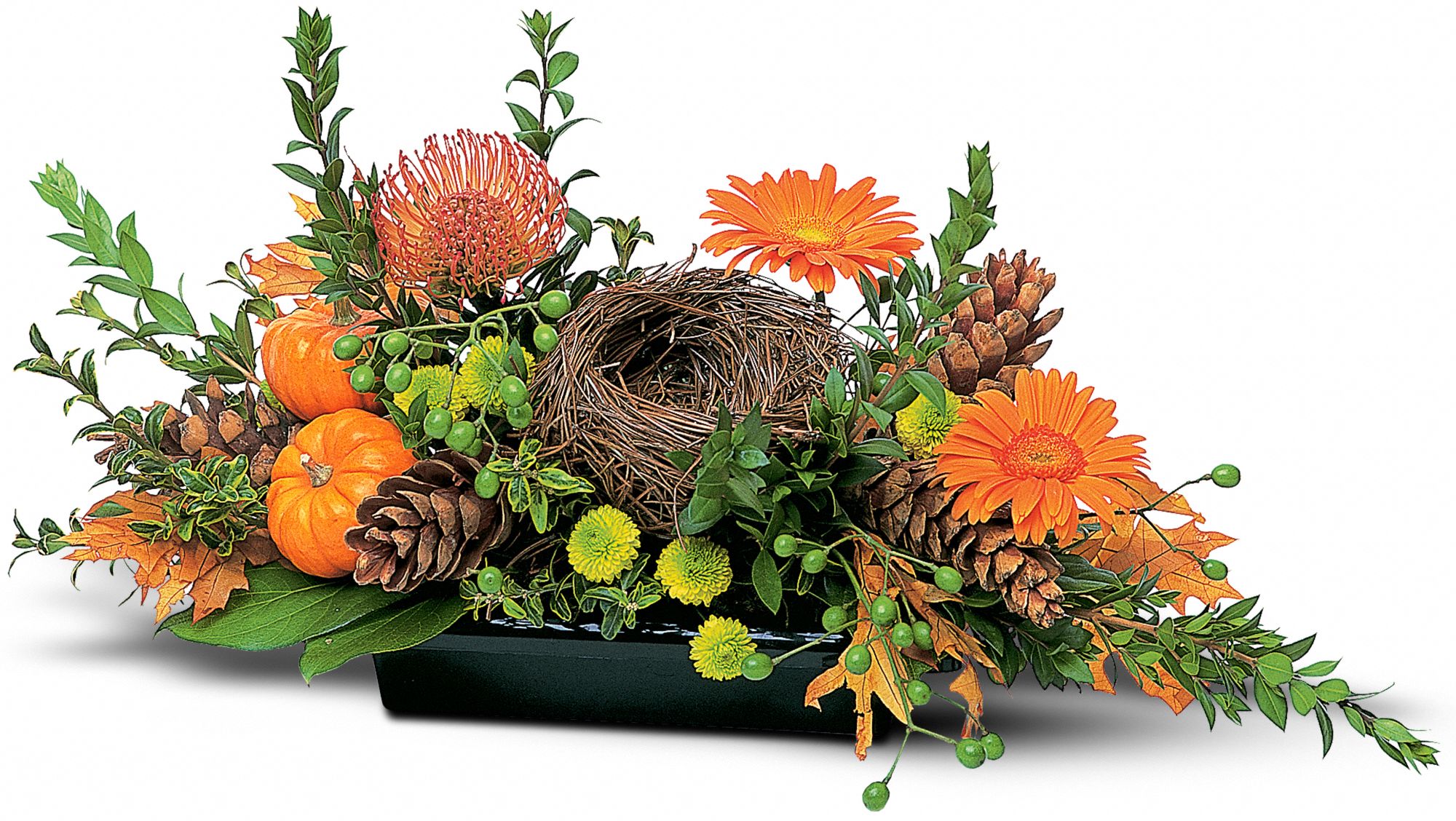 Visions of Autumn Centerpiece in New Port Richey&nbsp;FL, Cottage Florist Of Trinity