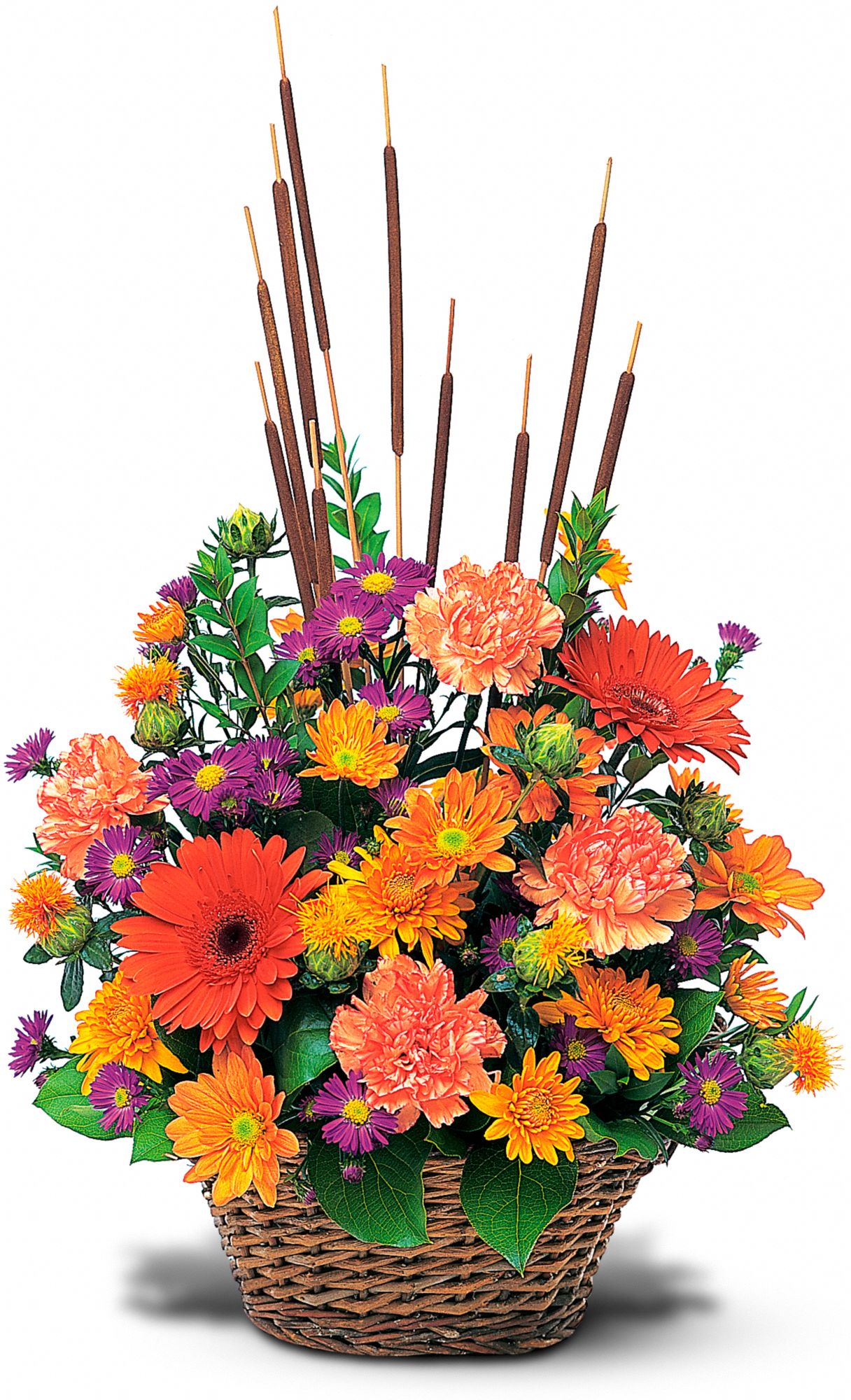 Fall Meadow in New Port Richey&nbsp;FL, Cottage Florist Of Trinity