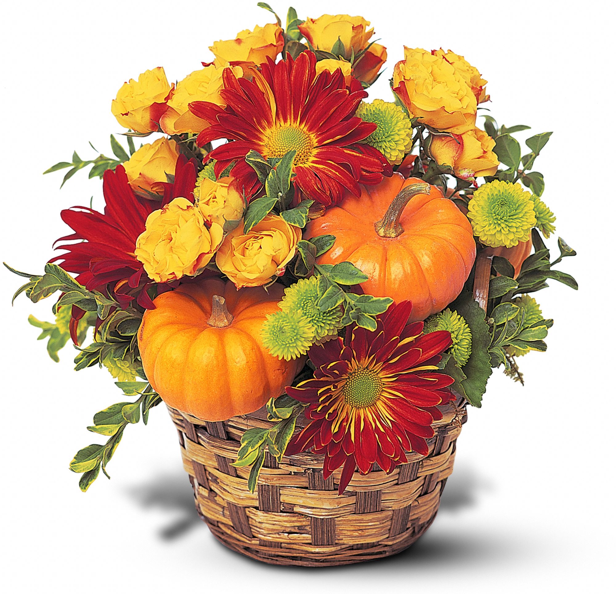 Hint of Fall in New Port Richey&nbsp;FL, Cottage Florist Of Trinity