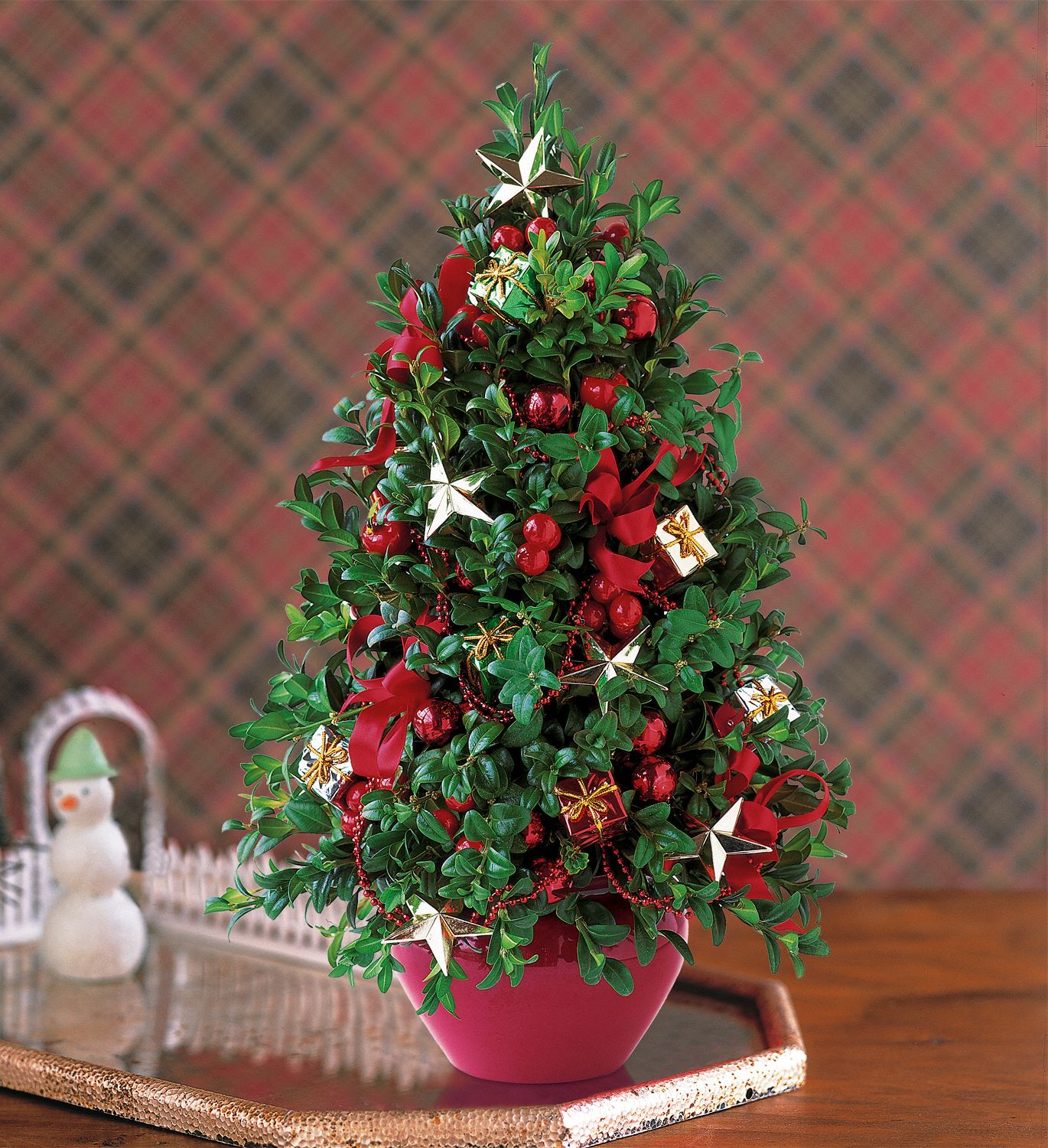 Boxwood Tree Flowers