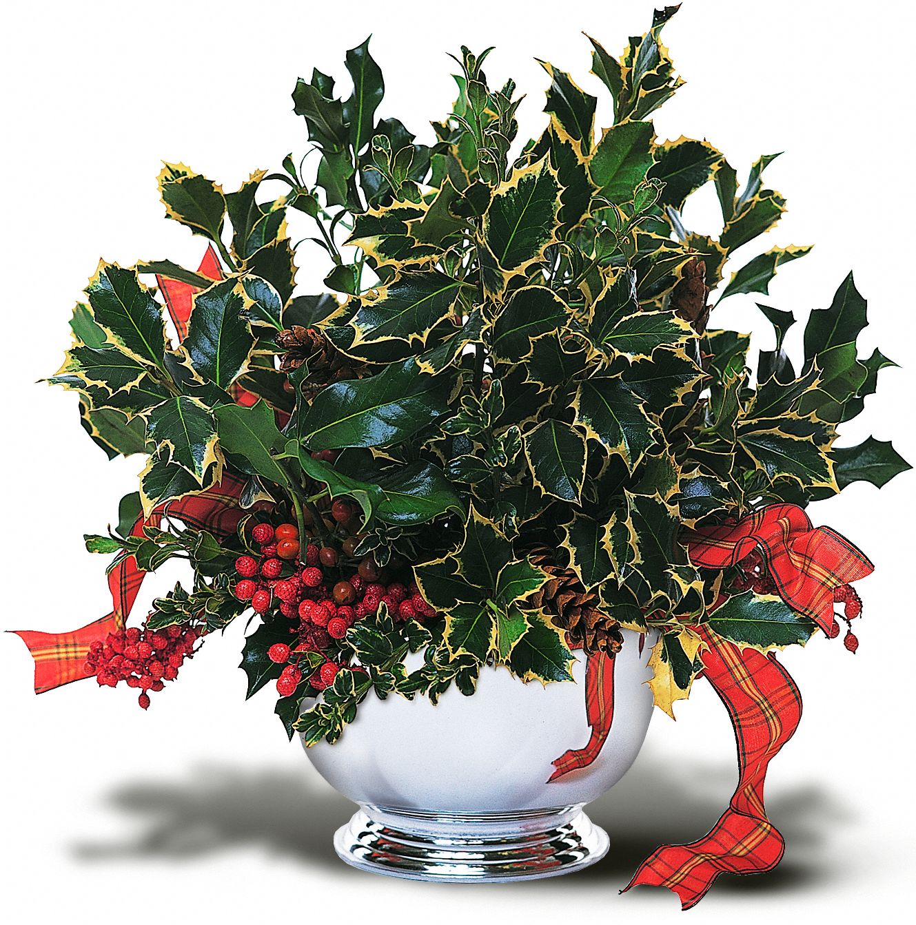 Holly Bowl in New Port Richey&nbsp;FL, Cottage Florist Of Trinity