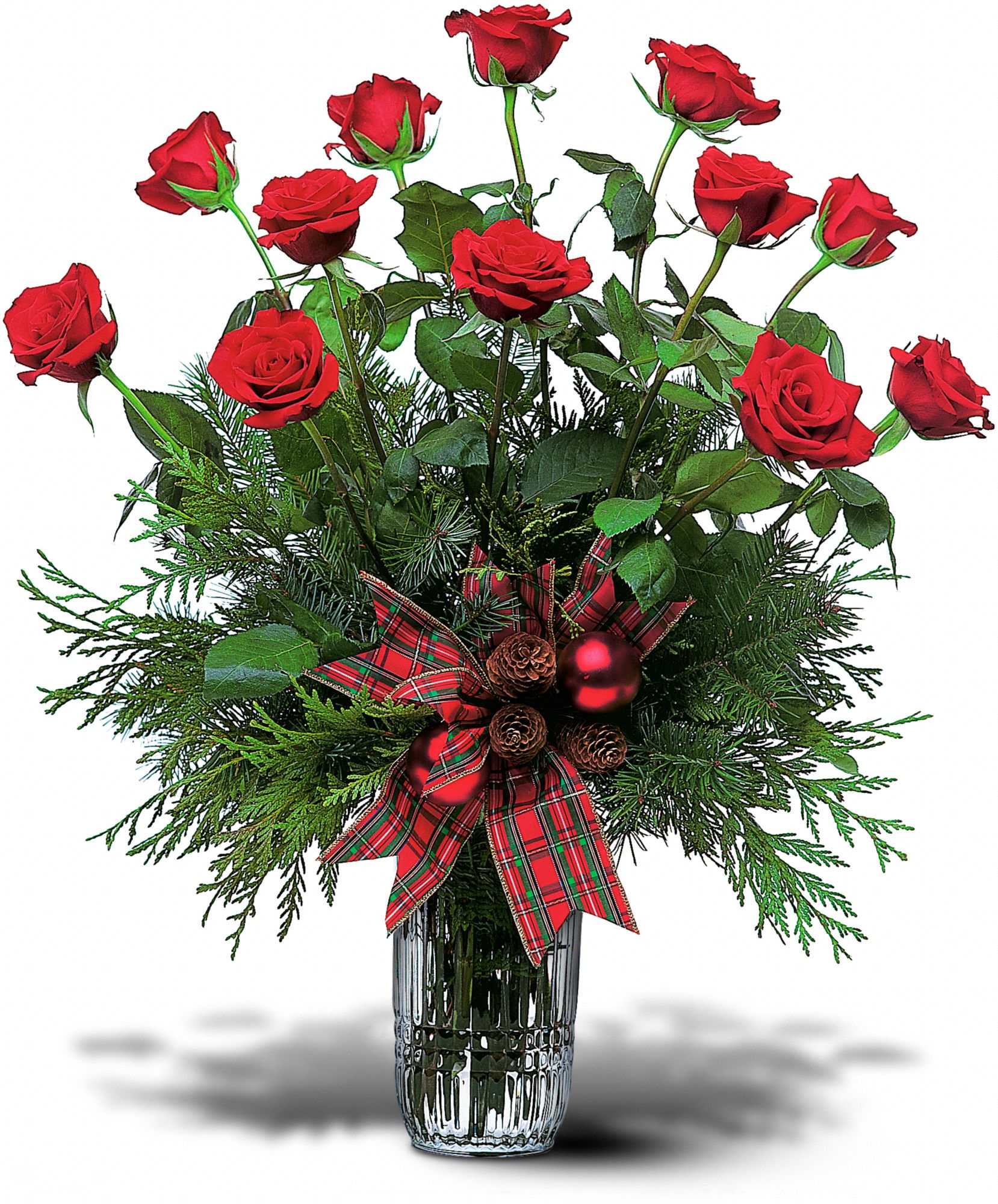Holiday Red Roses in New Port Richey&nbsp;FL, Cottage Florist Of Trinity