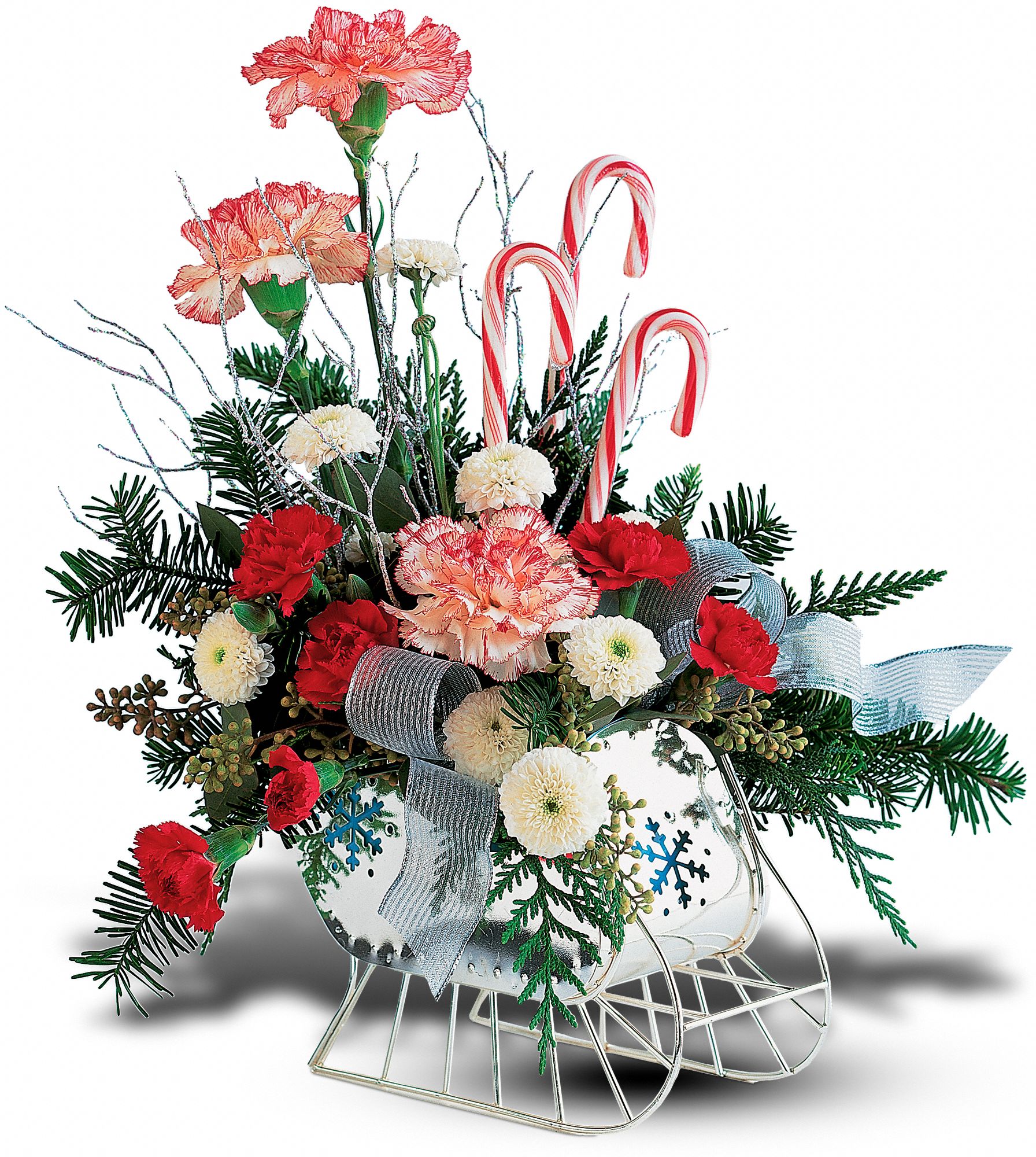 Teleflora's Sleigh in New Port Richey&nbsp;FL, Cottage Florist Of Trinity