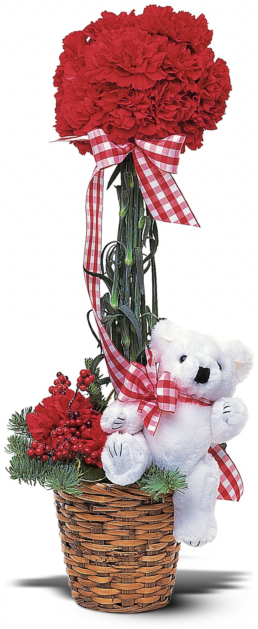 Carnation Topiary in New Port Richey&nbsp;FL, Cottage Florist Of Trinity