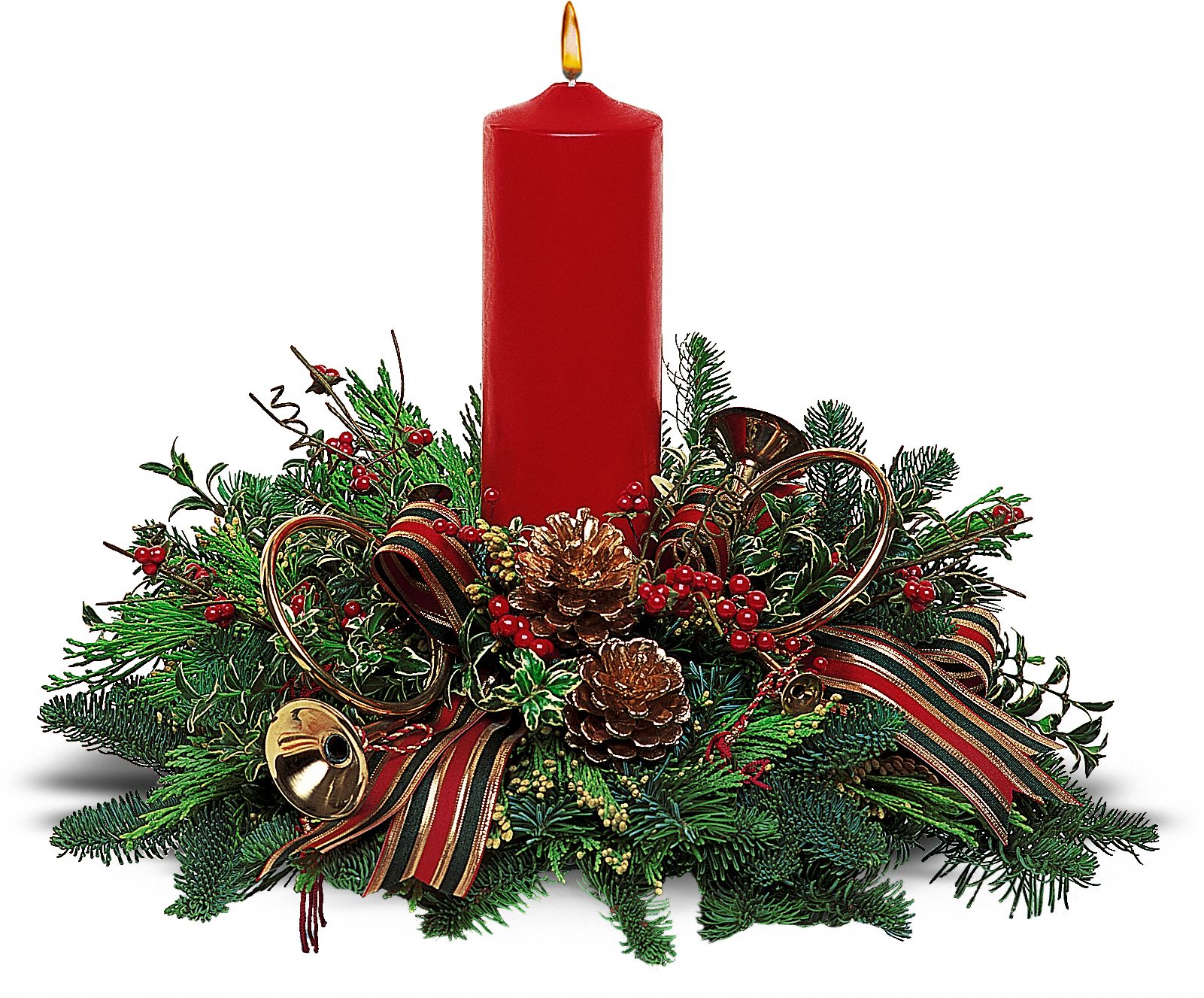 Carols of Christmas in New Port Richey&nbsp;FL, Cottage Florist Of Trinity