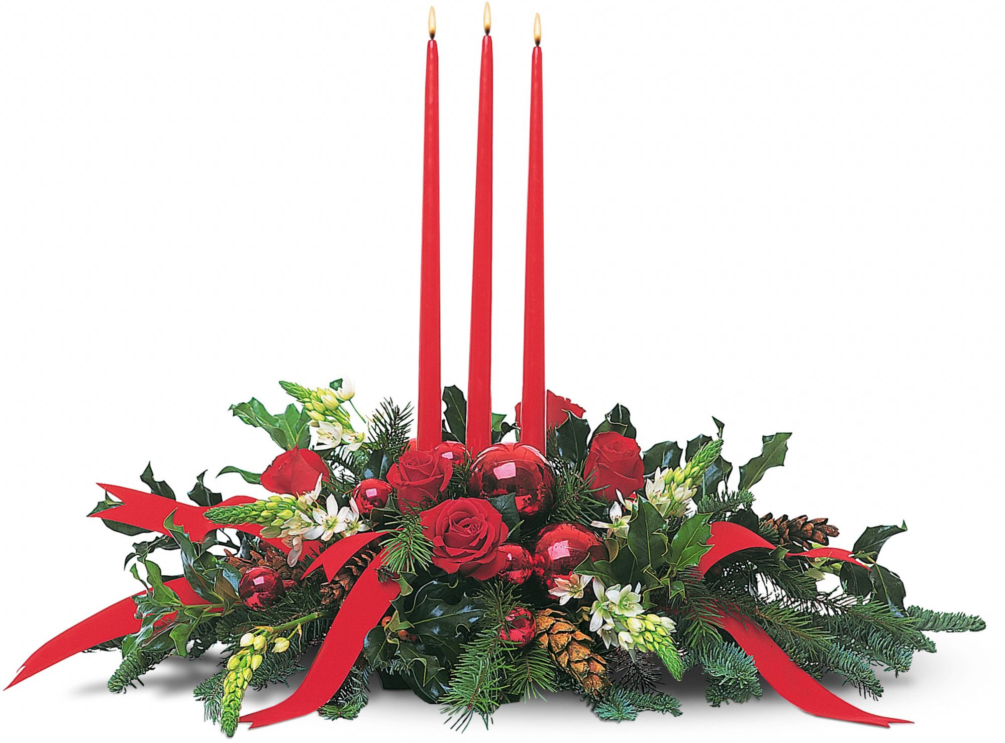 Spirit of Christmas in Mississauga&nbsp;ON, Mums Flowers