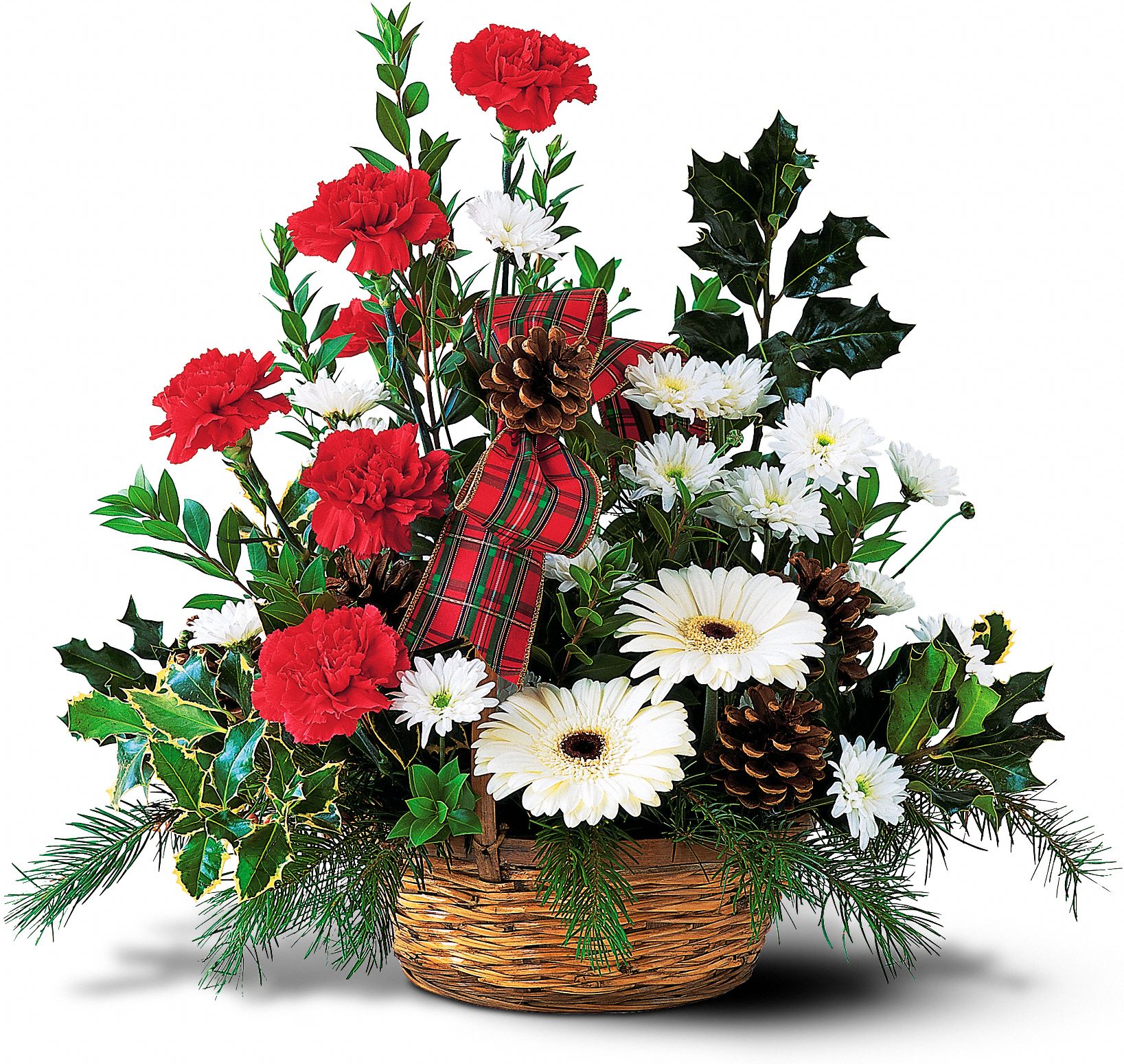 Winter Wonderland Basket in New Port Richey&nbsp;FL, Cottage Florist Of Trinity