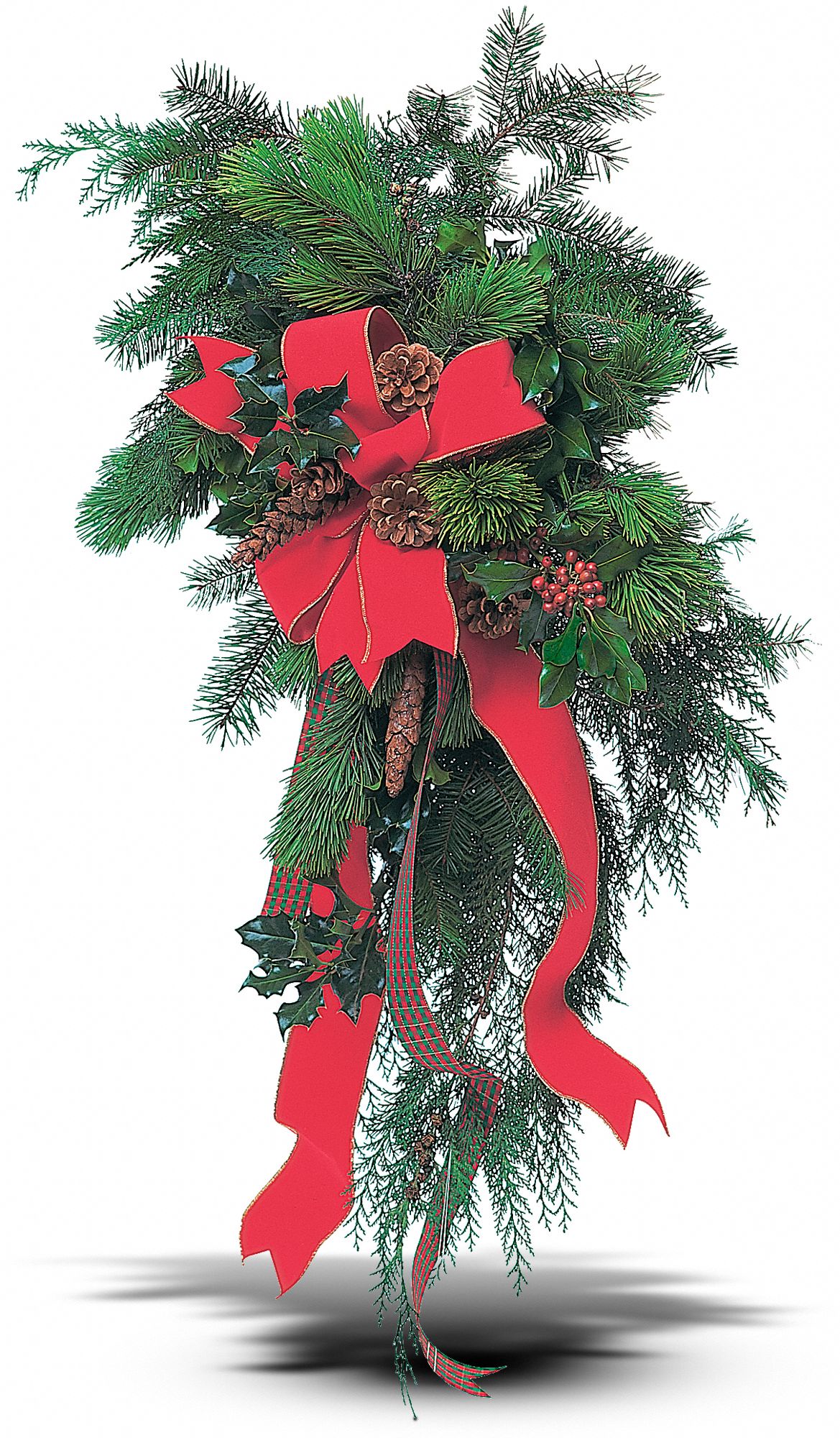 Festive Welcome in New Port Richey&nbsp;FL, Cottage Florist Of Trinity