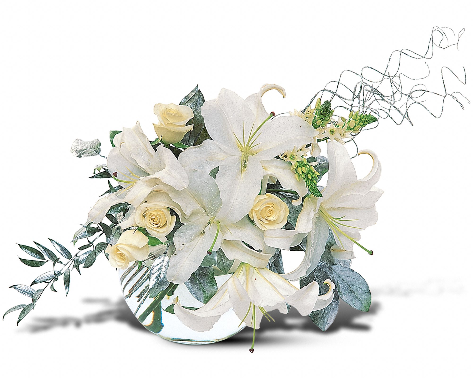 New Year's Celebration in New Port Richey&nbsp;FL, Cottage Florist Of Trinity