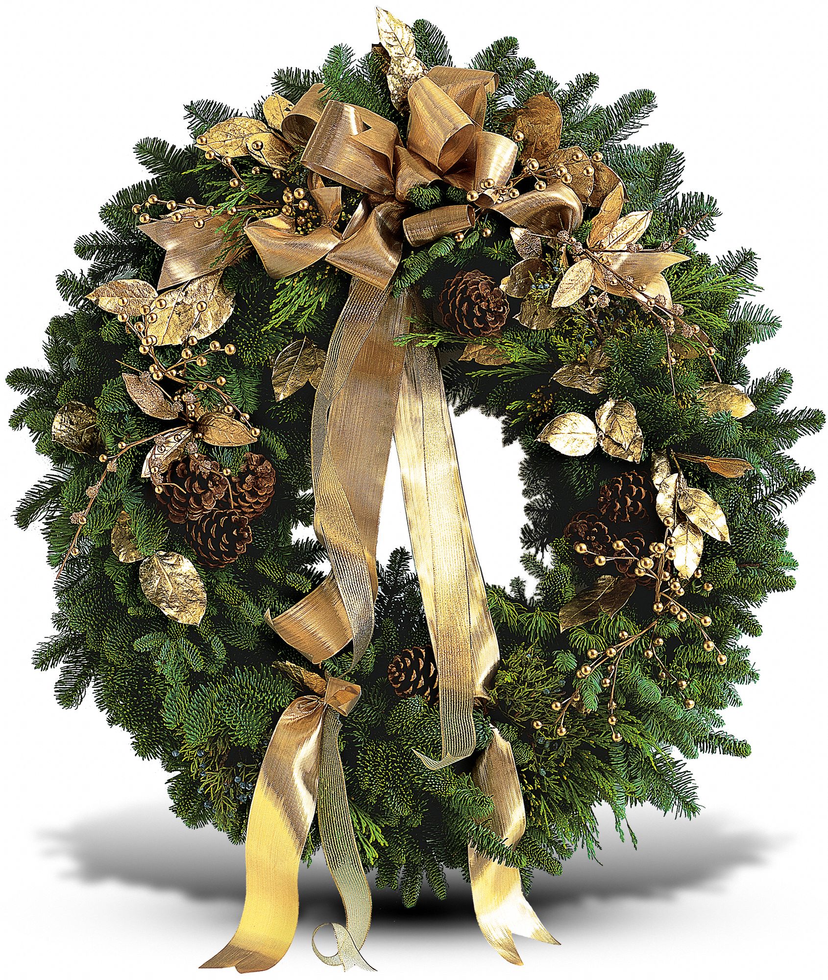 Golden Evergreen Wreath in New Port Richey&nbsp;FL, Cottage Florist Of Trinity