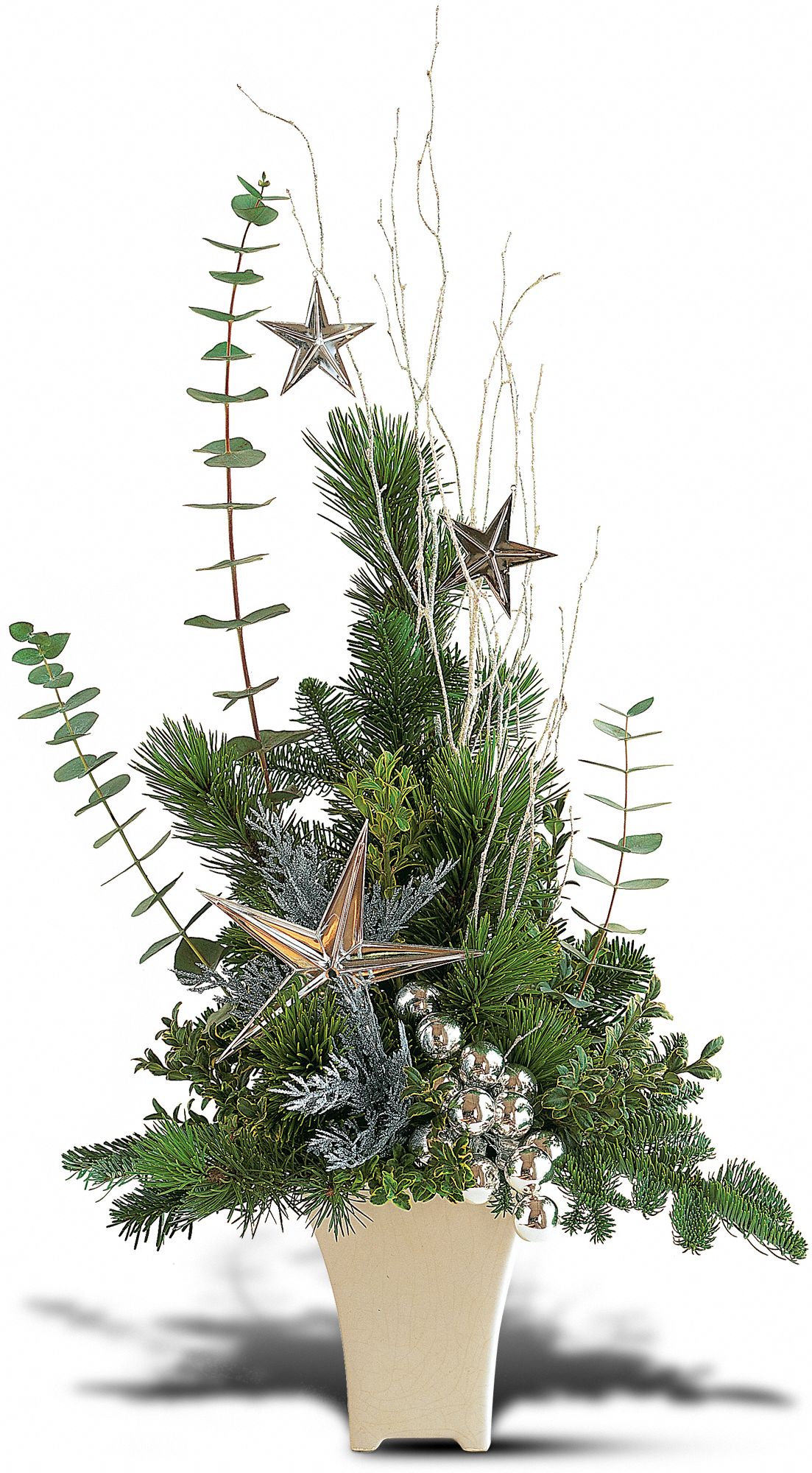 Winter Dreams in New Port Richey&nbsp;FL, Cottage Florist Of Trinity