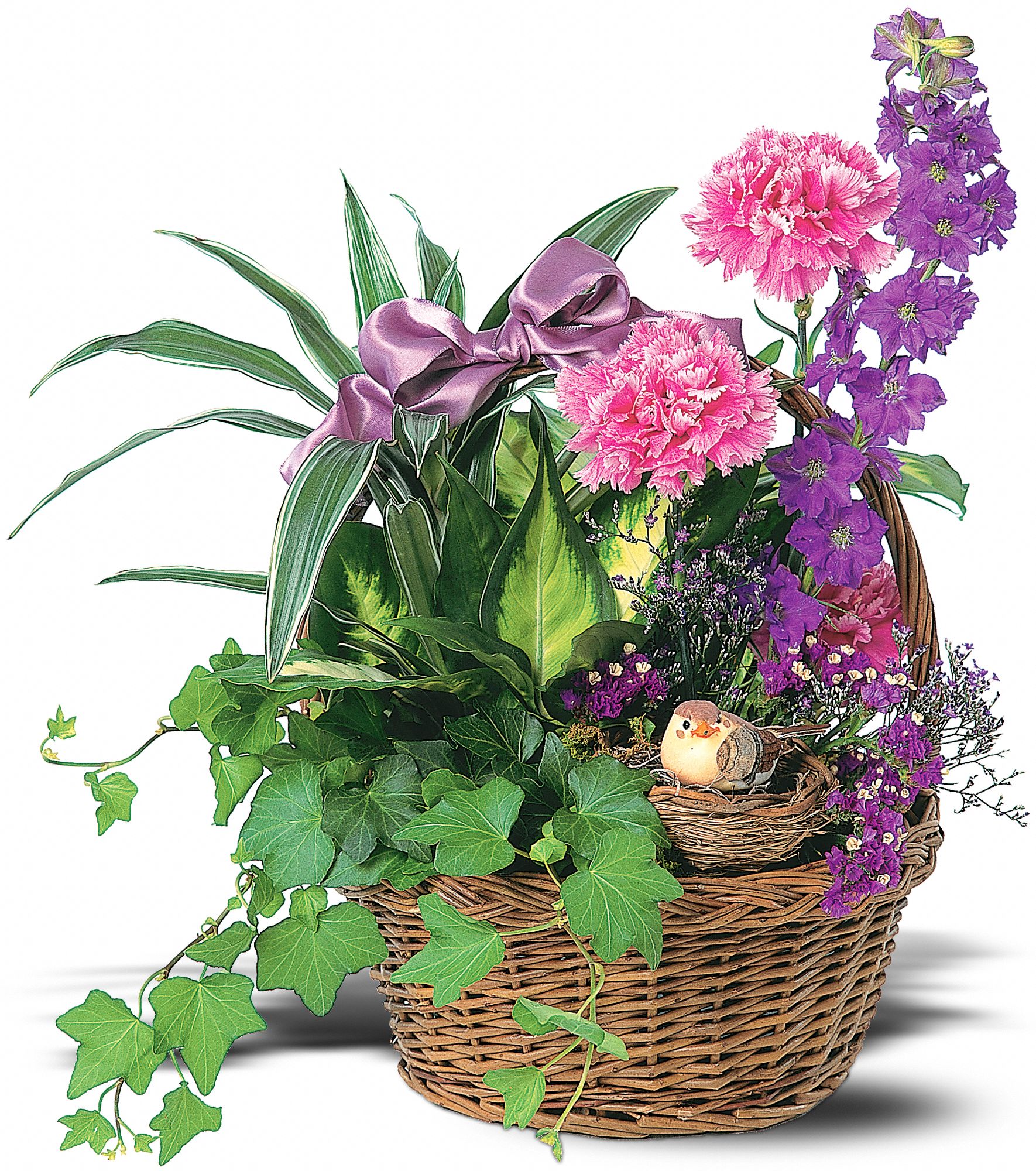 Garden Comforts in Tallahassee&nbsp;FL, Four Seasons Designs, Etc.