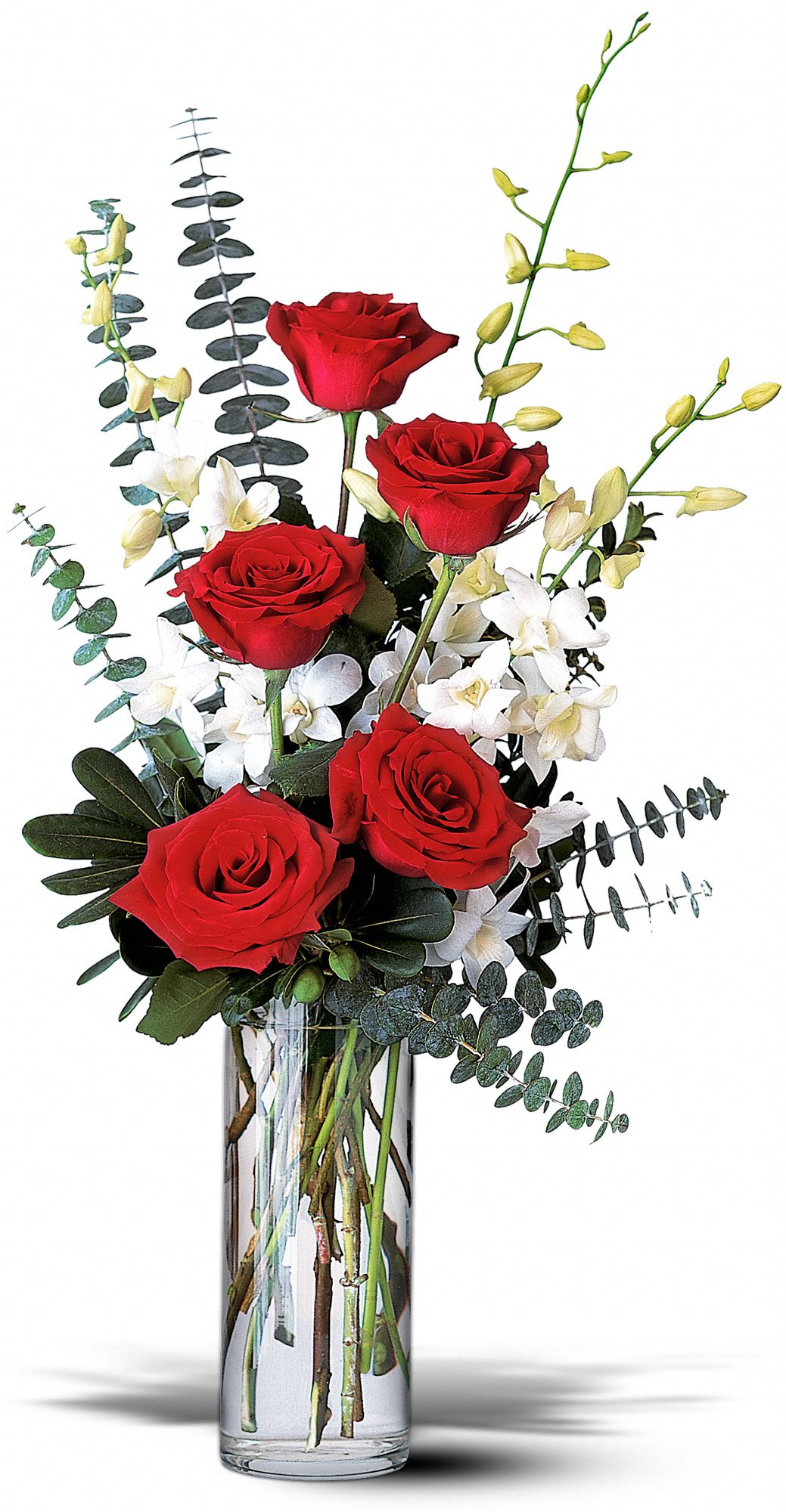 Red Roses and White Orchids graphic