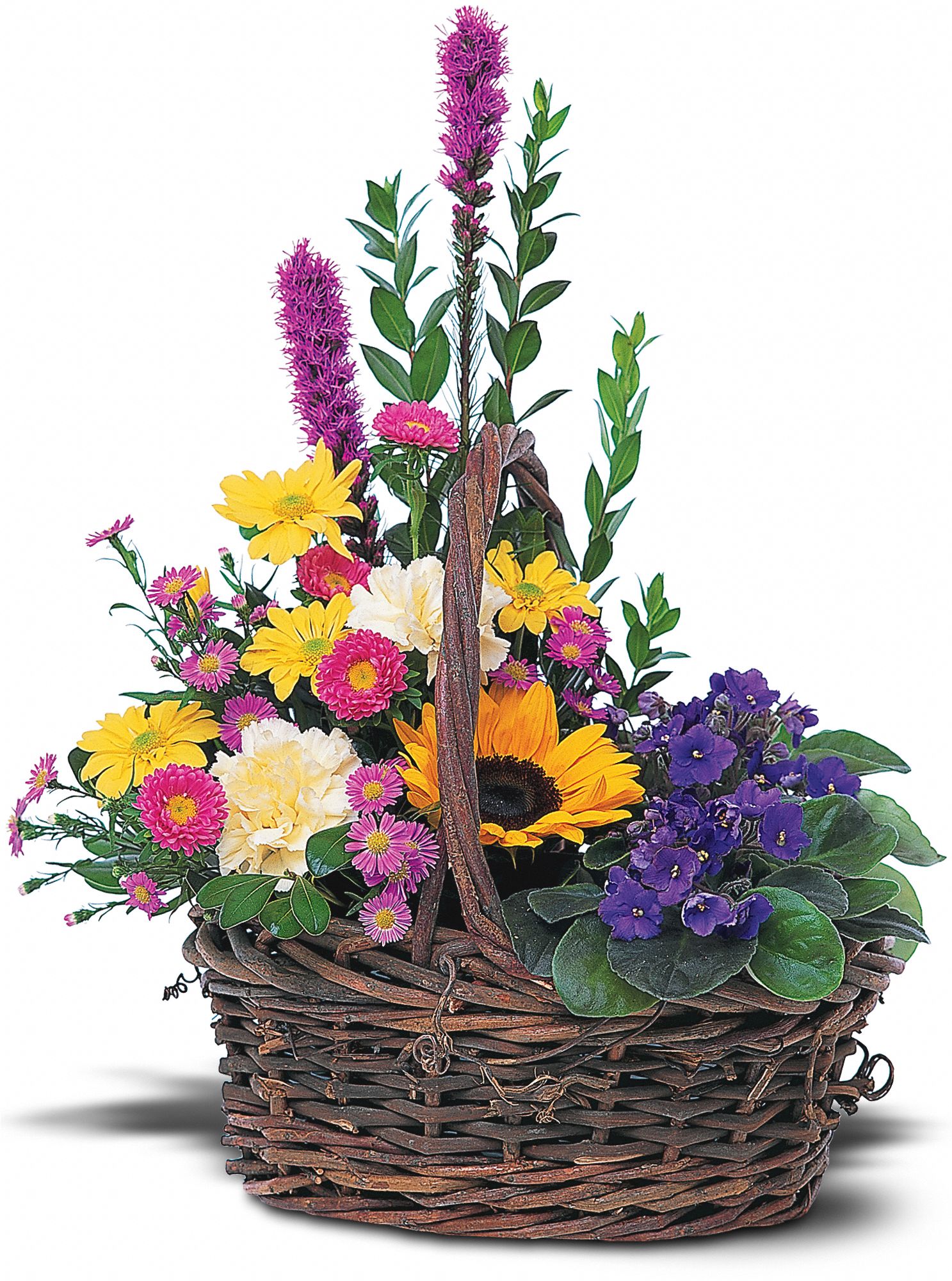 Basket of Glory in Tallahassee&nbsp;FL, Four Seasons Designs, Etc.
