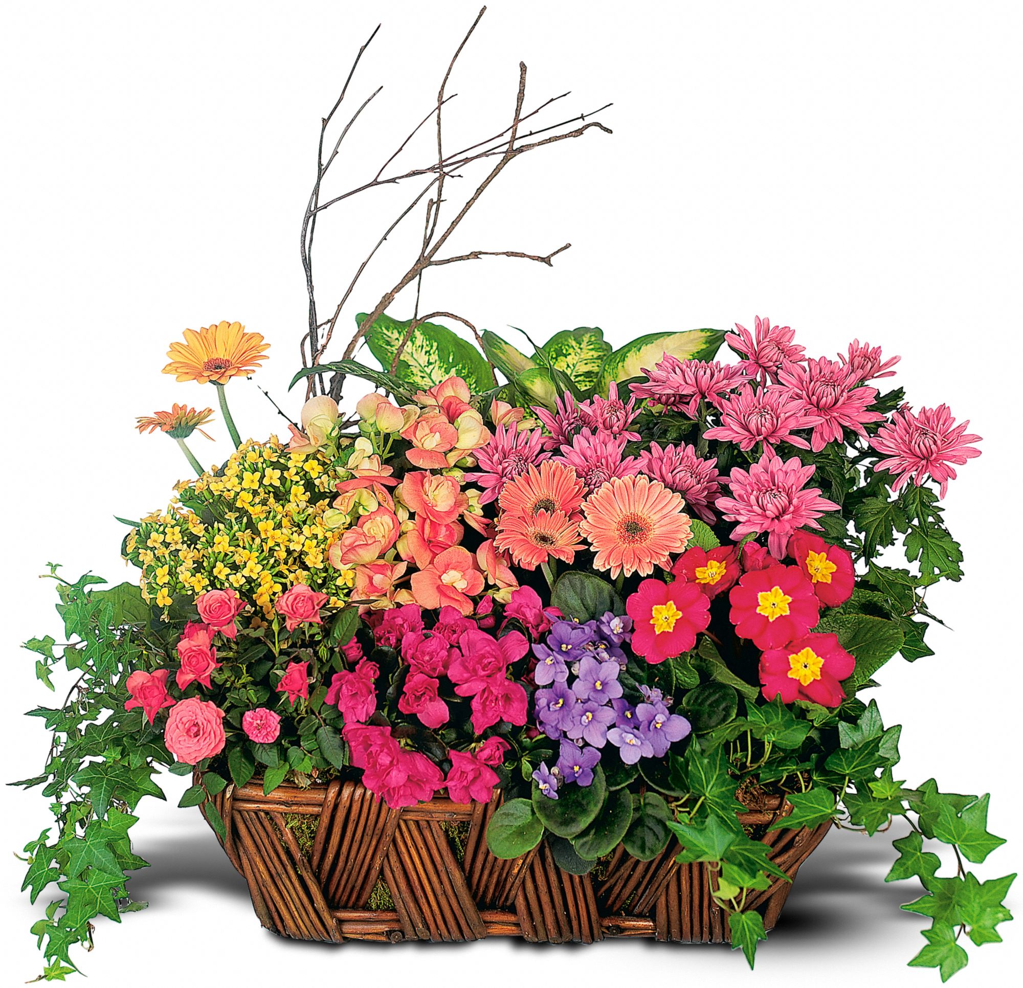 Deluxe European Garden Basket, picture