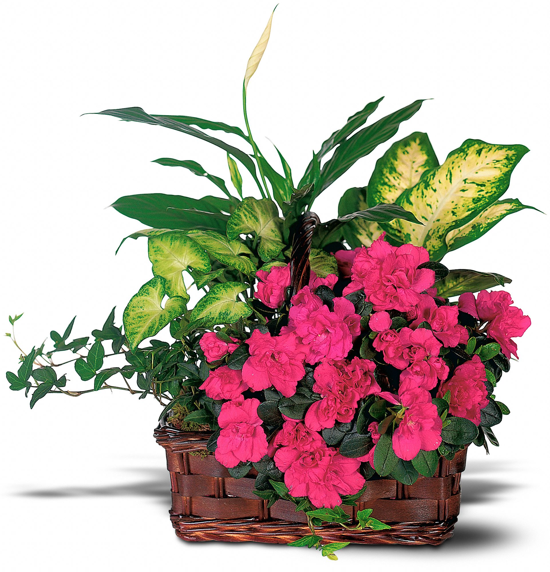 Azalea Attraction Garden Basket