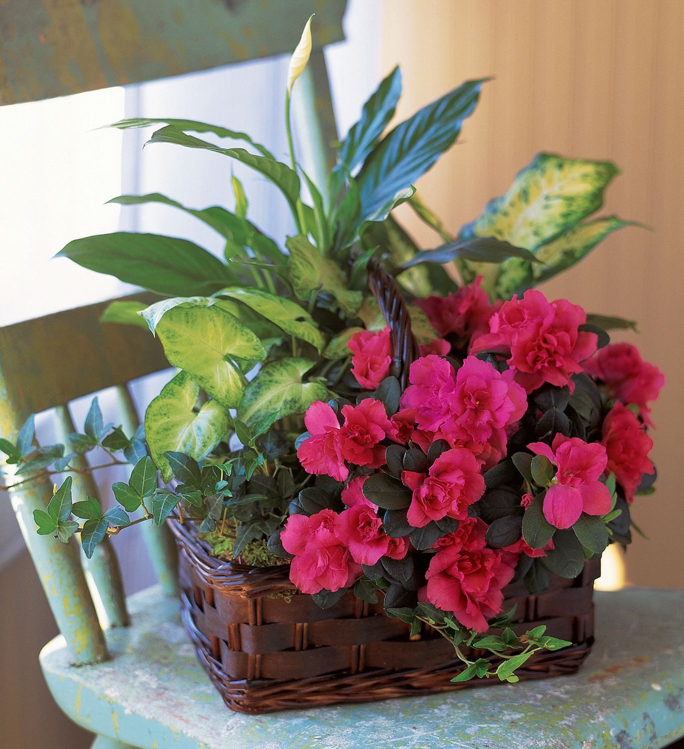 Azalea Attraction Garden Basket