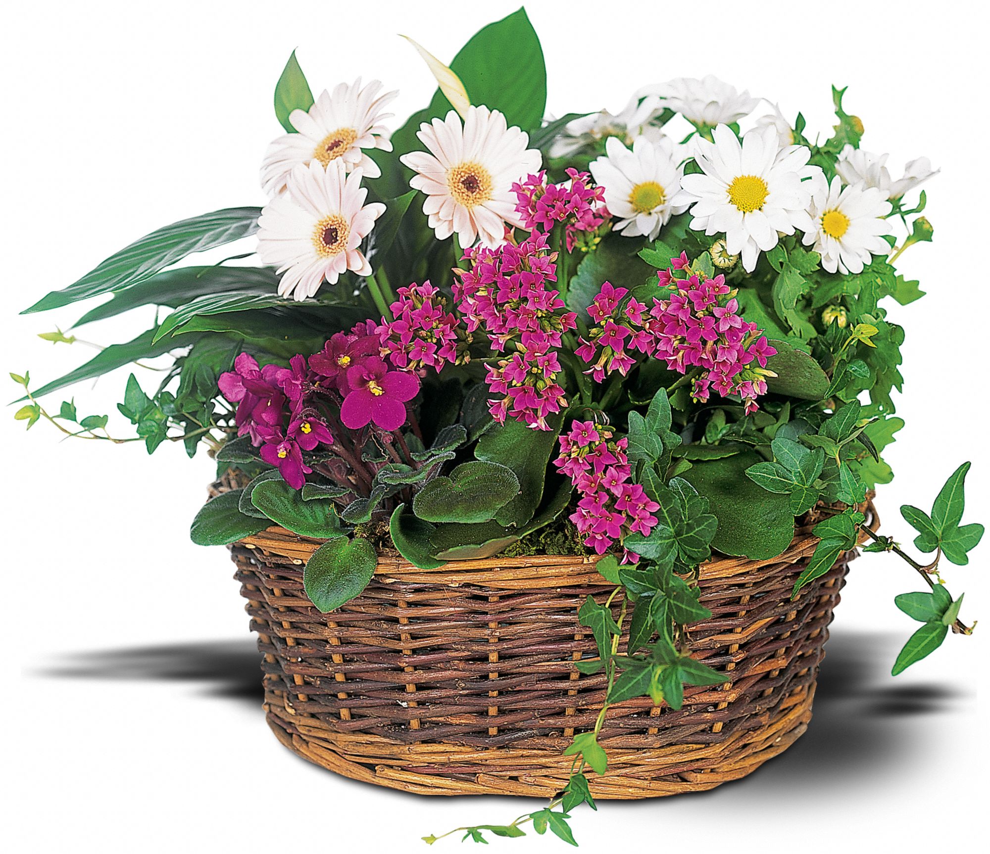 Traditional European Garden Basket in Deer Park TX Deer Park Florist