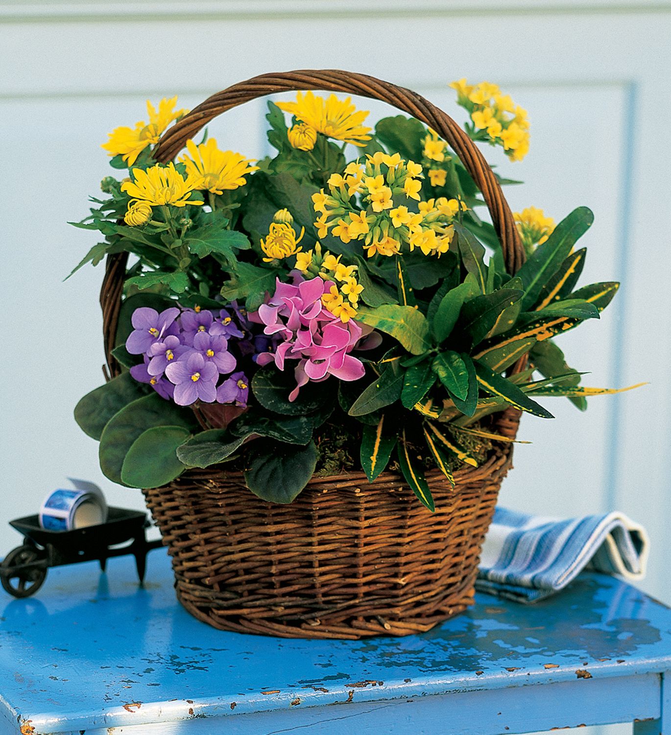 Petite European  Gift Basket