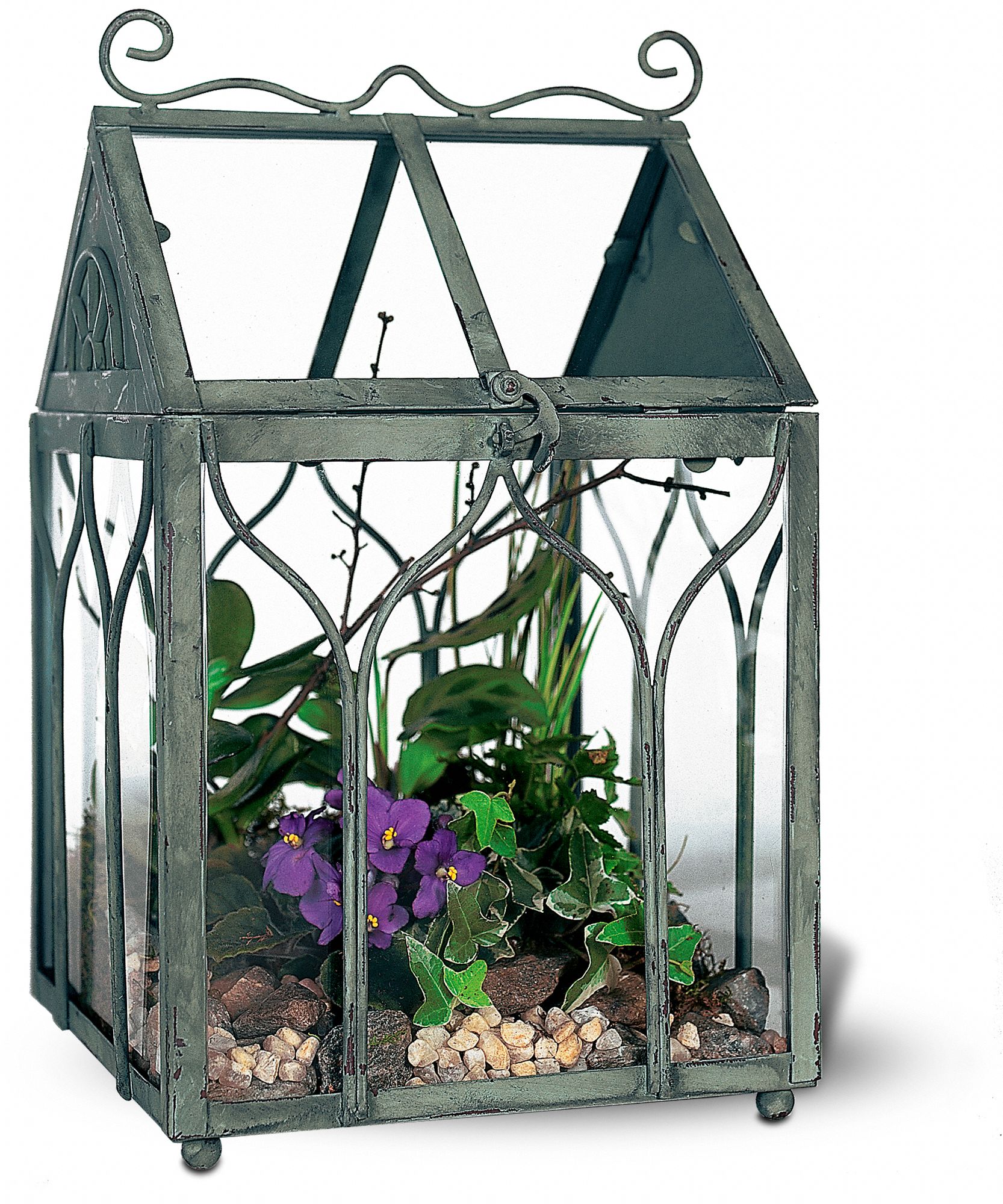 Terrarium in New Port Richey&nbsp;FL, Cottage Florist Of Trinity
