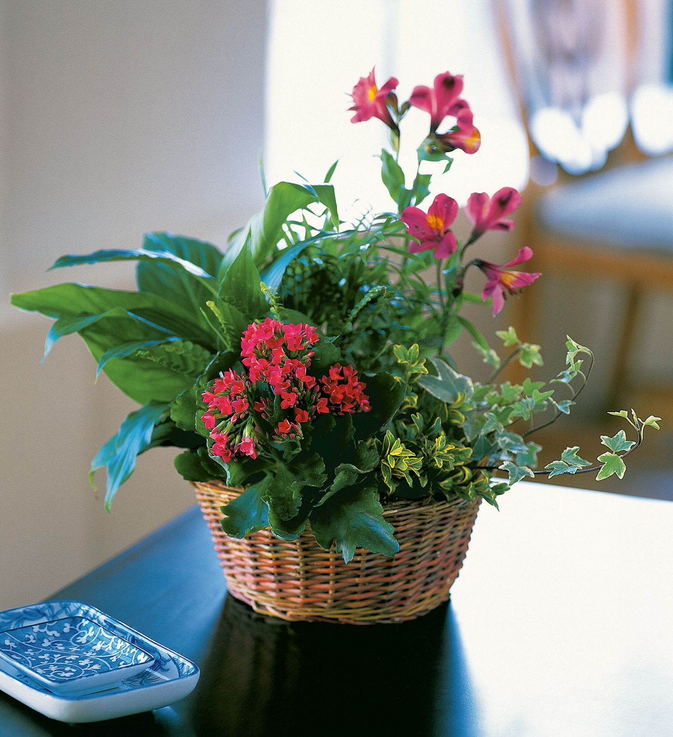 Dish Garden with Pinks