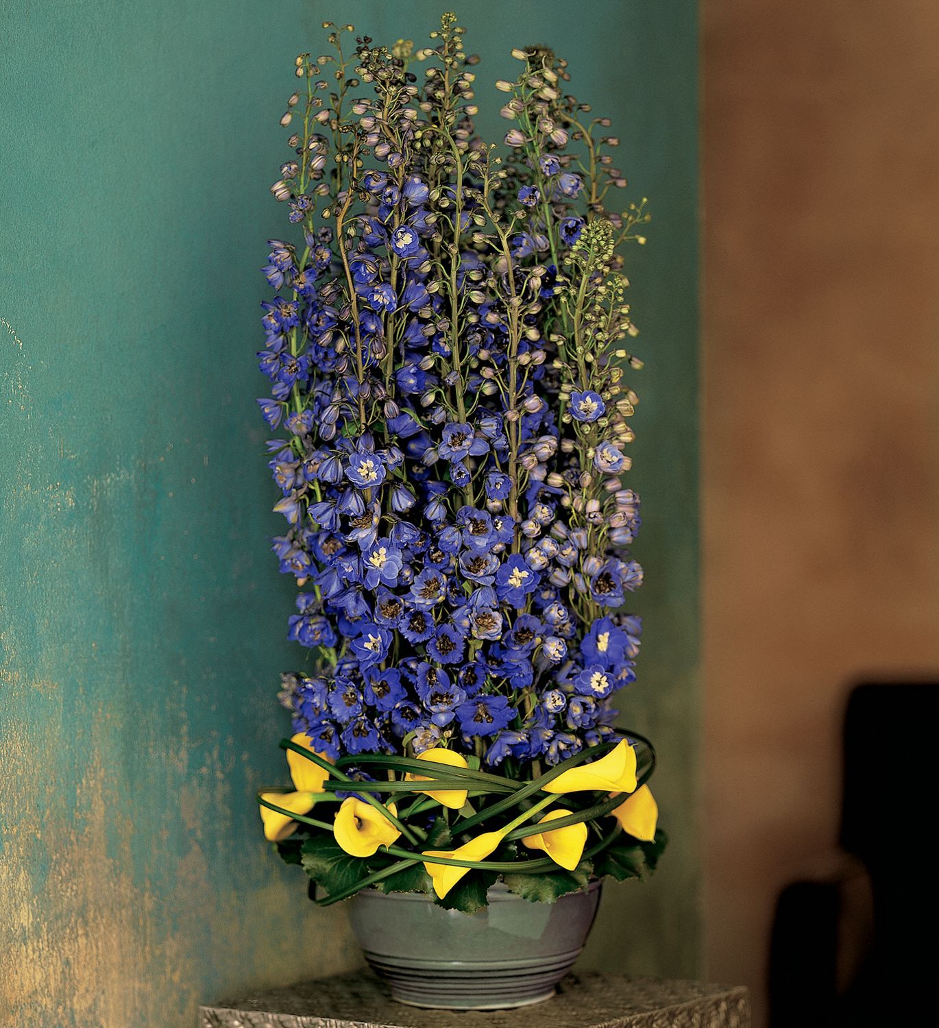 Distinguished Delphinium