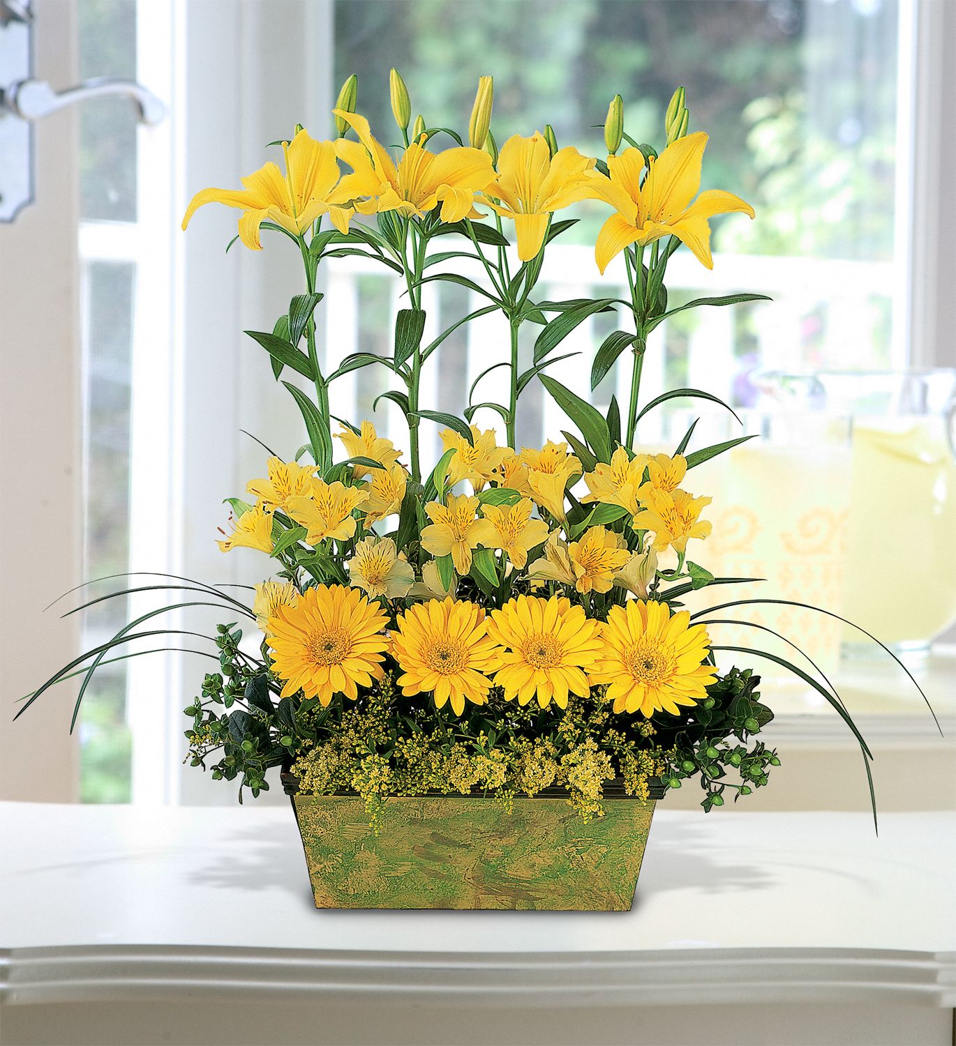 Yellow Garden Rows Flowers