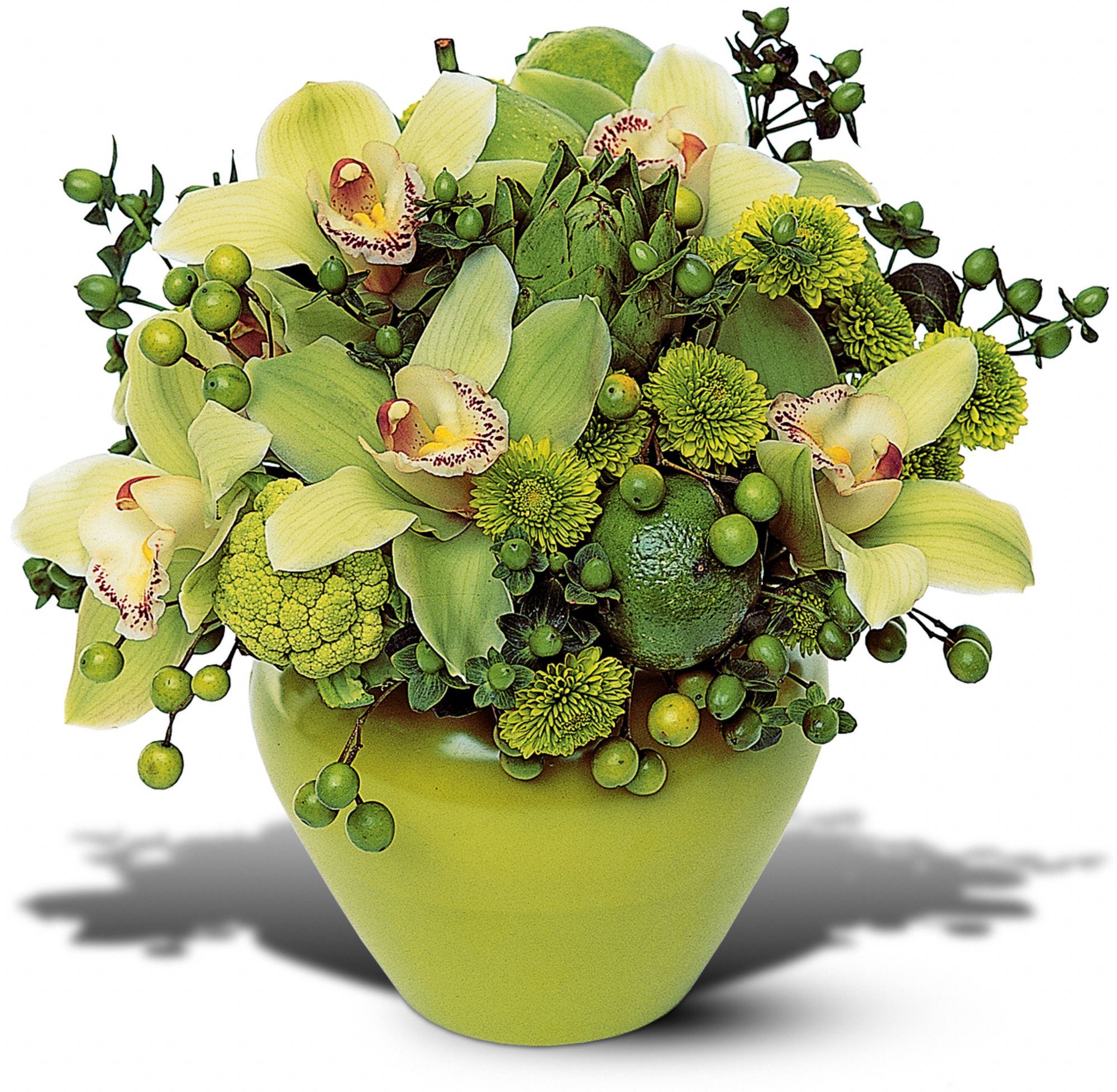 Shades of Green graphic