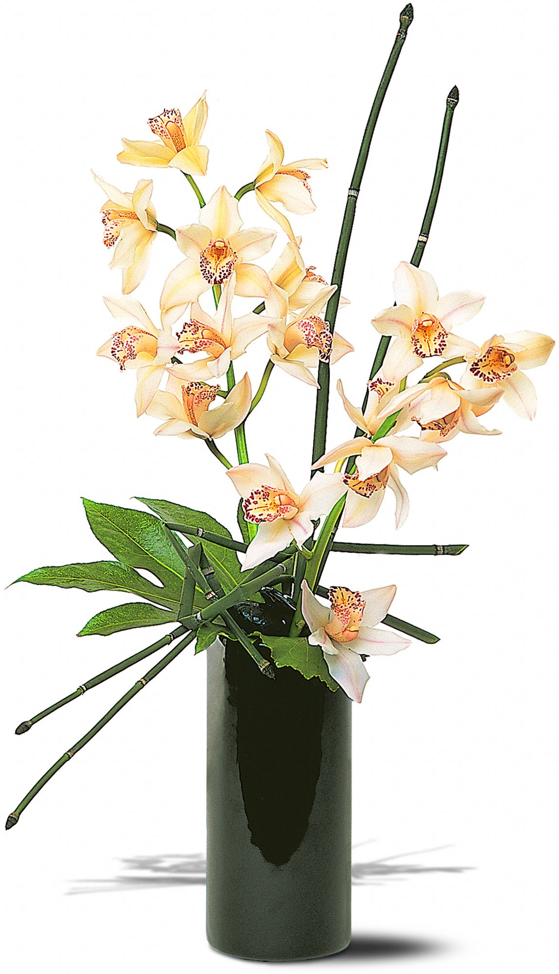 Artful Orchids graphic