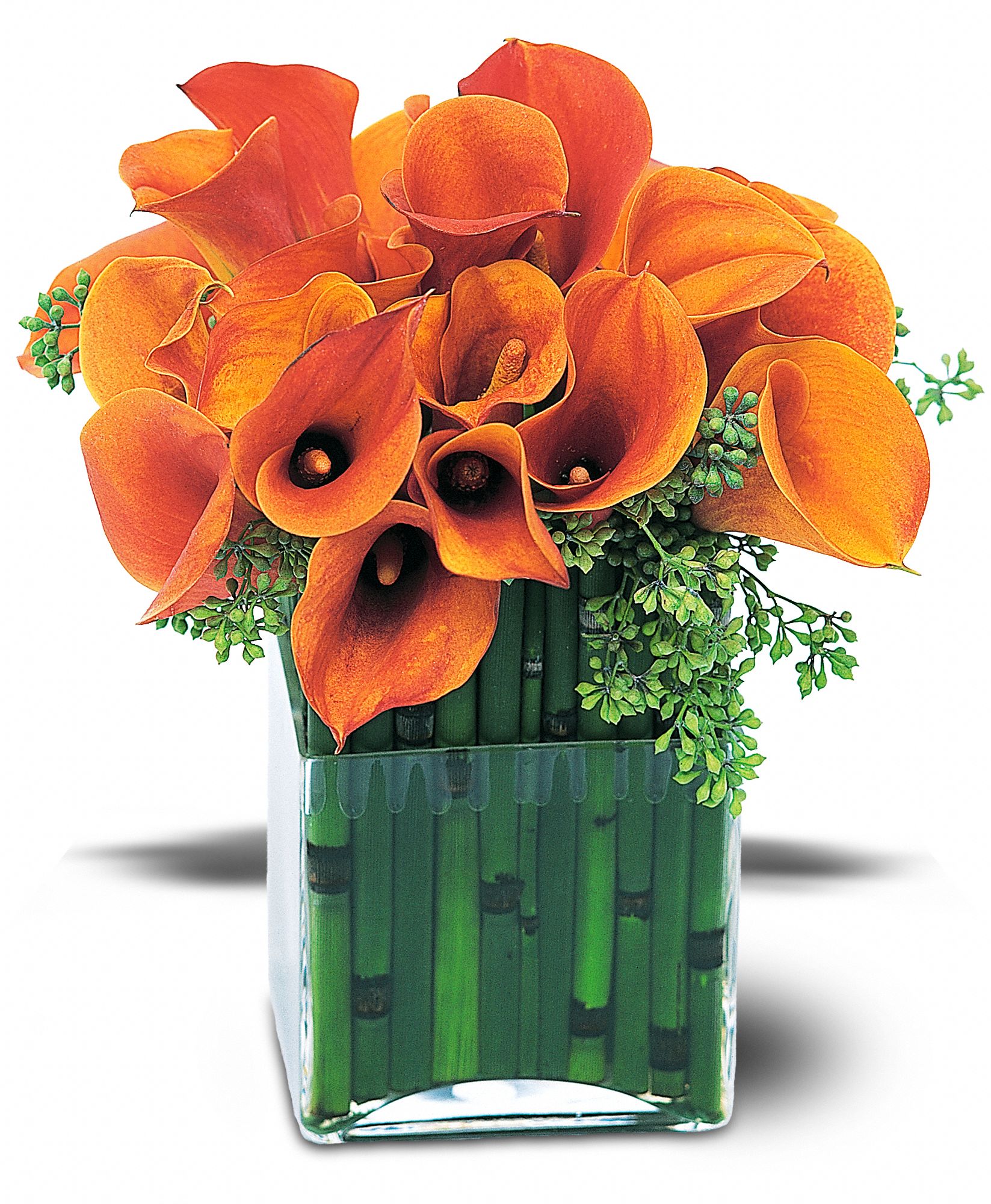 Bronze Callas