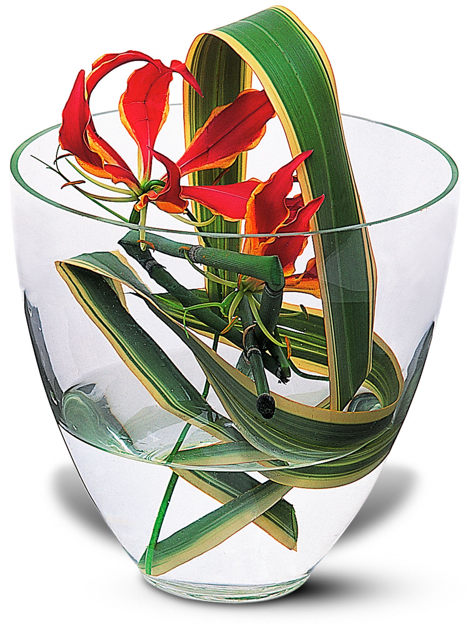 Gloriosa Under Glass in Tavistock&nbsp;ON, BELLA FLORAL DESIGNS & DECOR