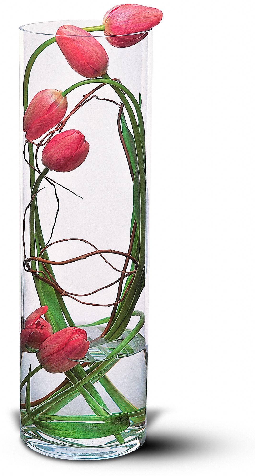 Tulip Under Glass in San Antonio&nbsp;TX, Thousand Oaks Florist