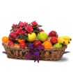 Plant and Fruit Basket in Parma OH Ed Pawlak & Son Florists
