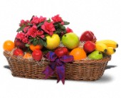 Grigg's Flowers, Carlsbad, New Mexico - Plant and Fruit Basket, picture