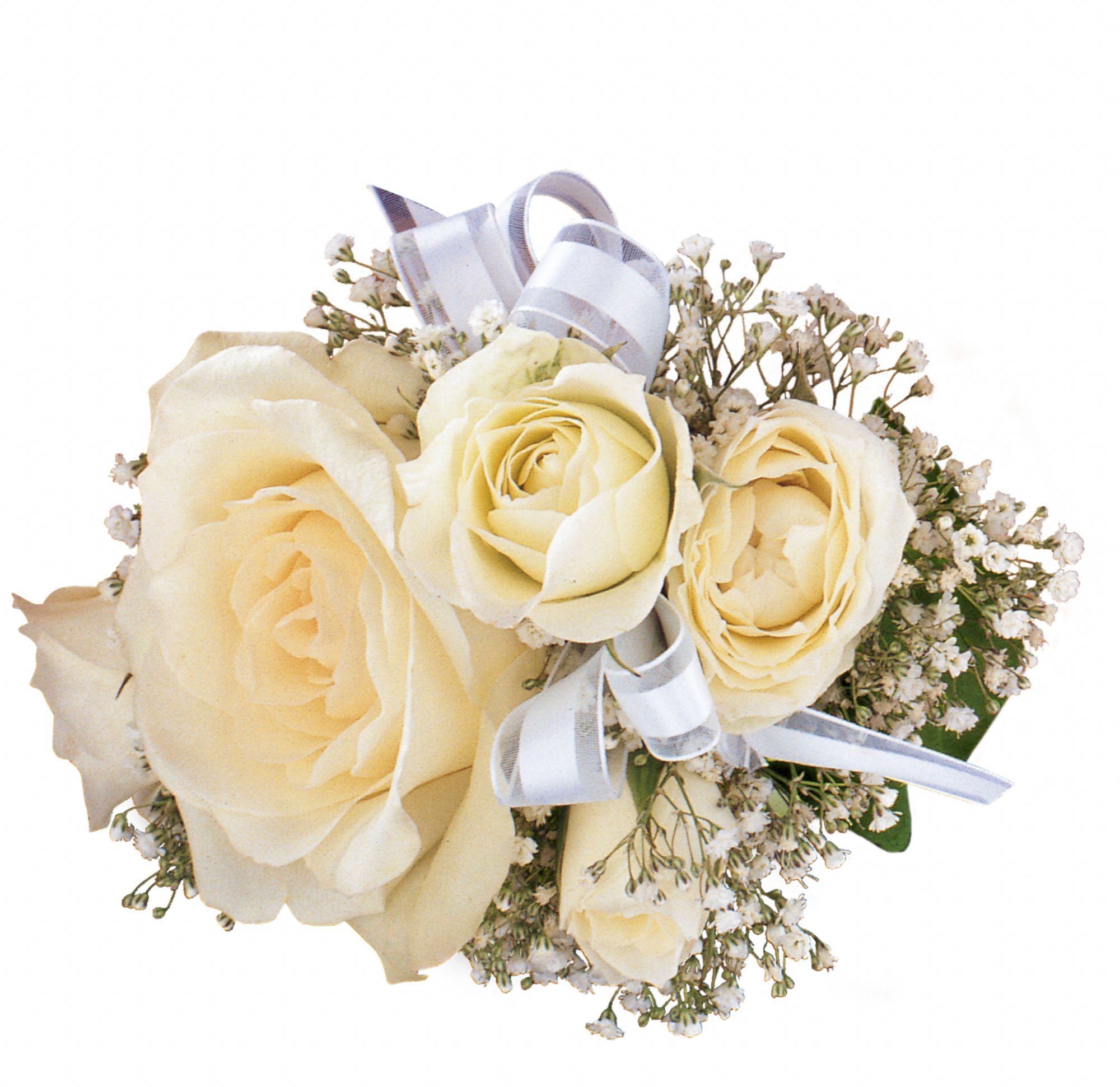 White Ice Roses Wristlet graphic