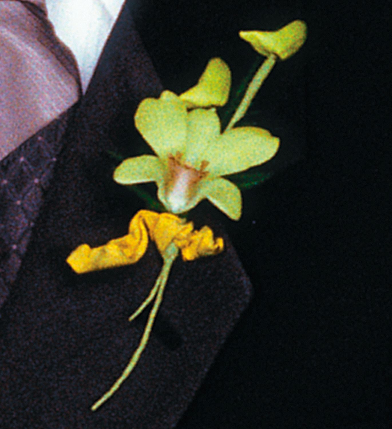 Cat's-Eye Green Orchid Boutonniere in West Hills&nbsp;CA, Flowers On the Hills