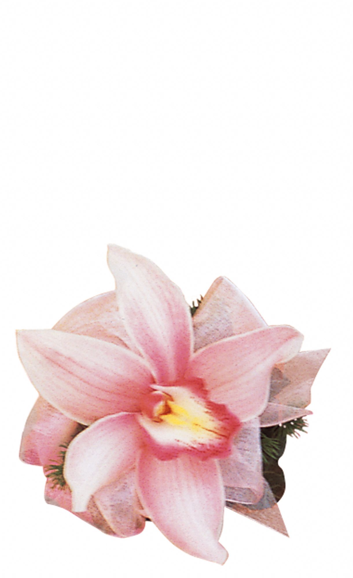 Pink Orchid Wristlet graphic