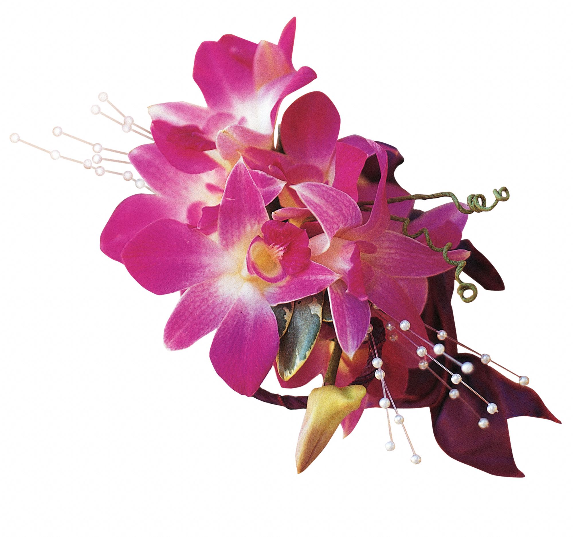 Fuchsia Orchids Wristlet graphic