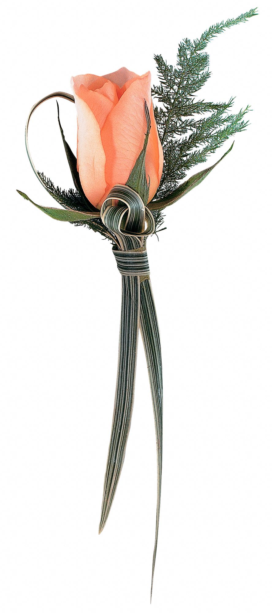 Peach Promise Boutonniere in West Hills&nbsp;CA, Flowers On the Hills