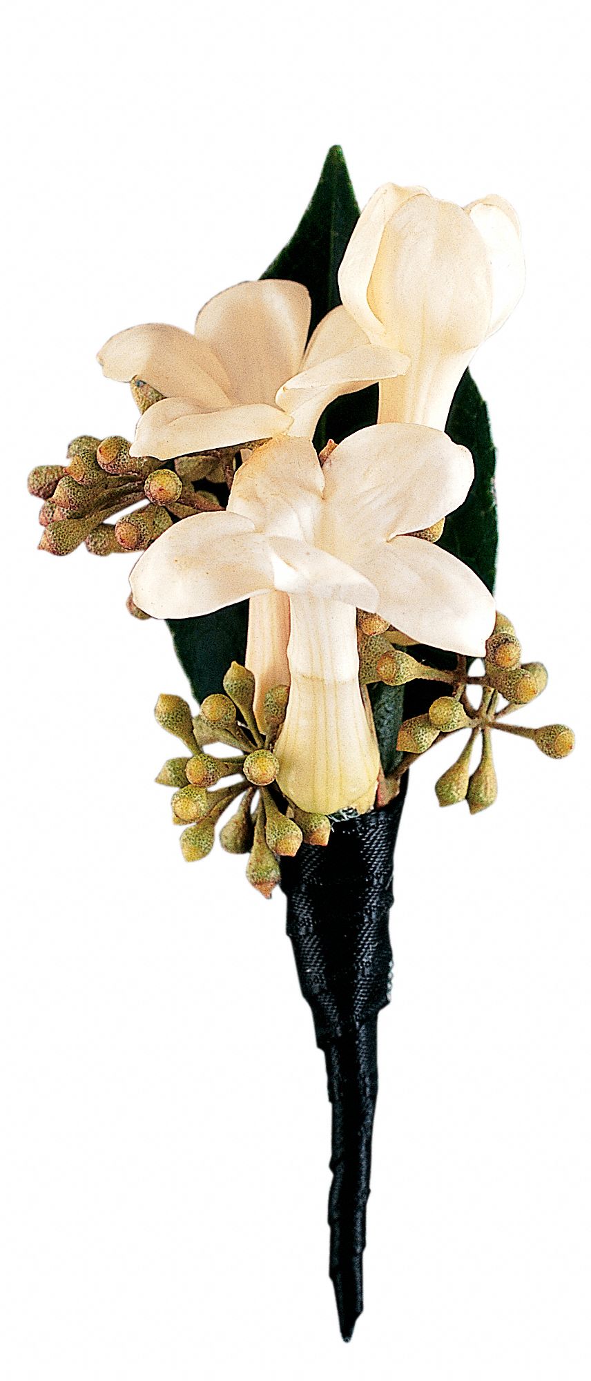 Stephanotis Boutonniere graphic