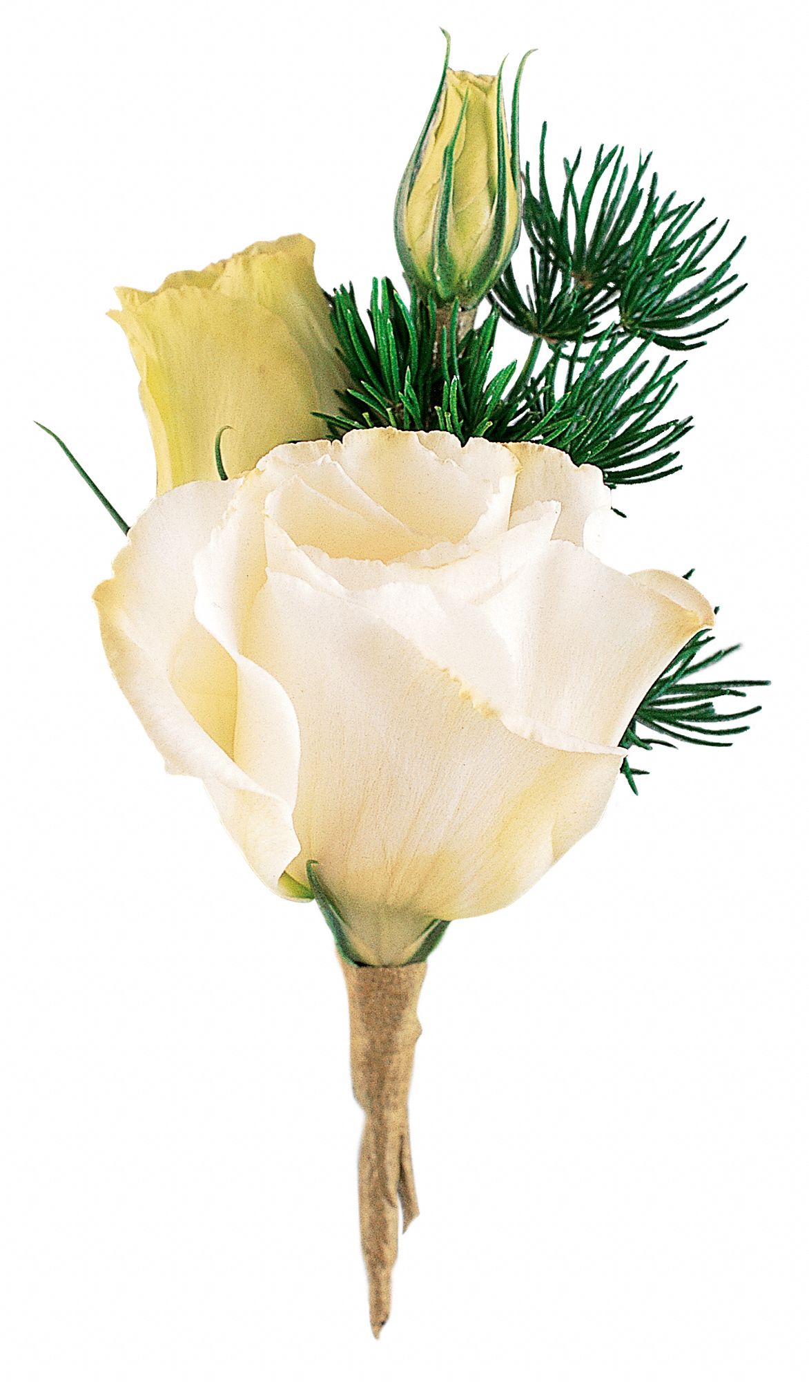 White Lisianthus Boutonniere, picture