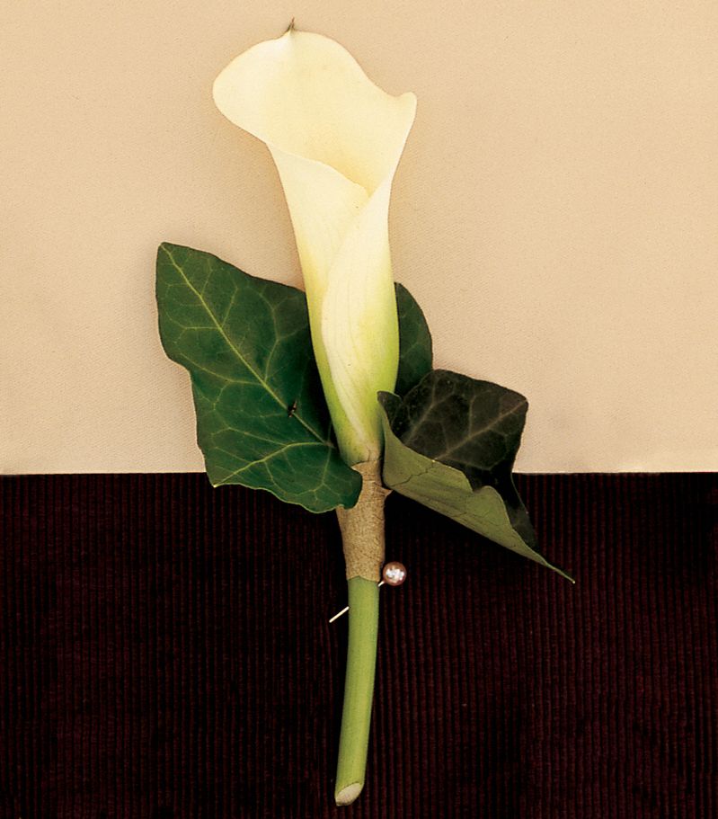 Miniature Calla Boutonniere Flowers