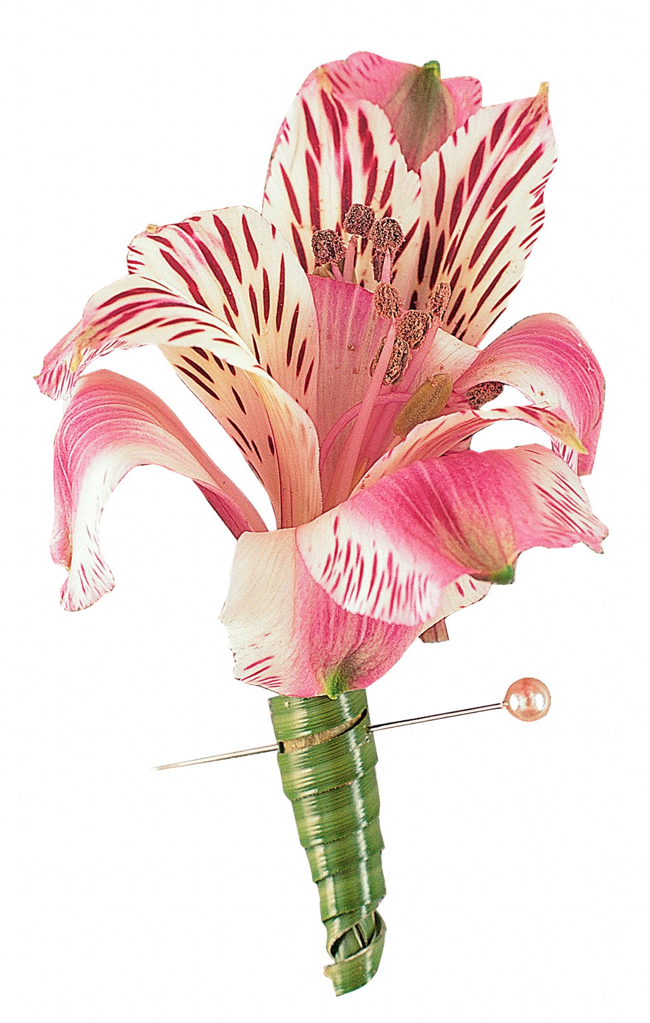 Pink Alstroemeria Boutonniere in West Hills&nbsp;CA, Flowers On the Hills