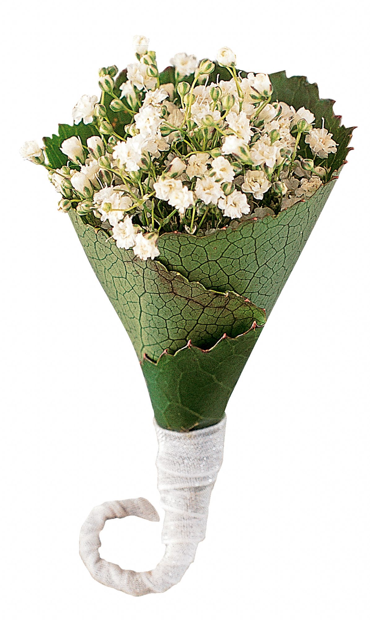 Rolled Gypsophila Boutonniere in West Hills&nbsp;CA, Flowers On the Hills