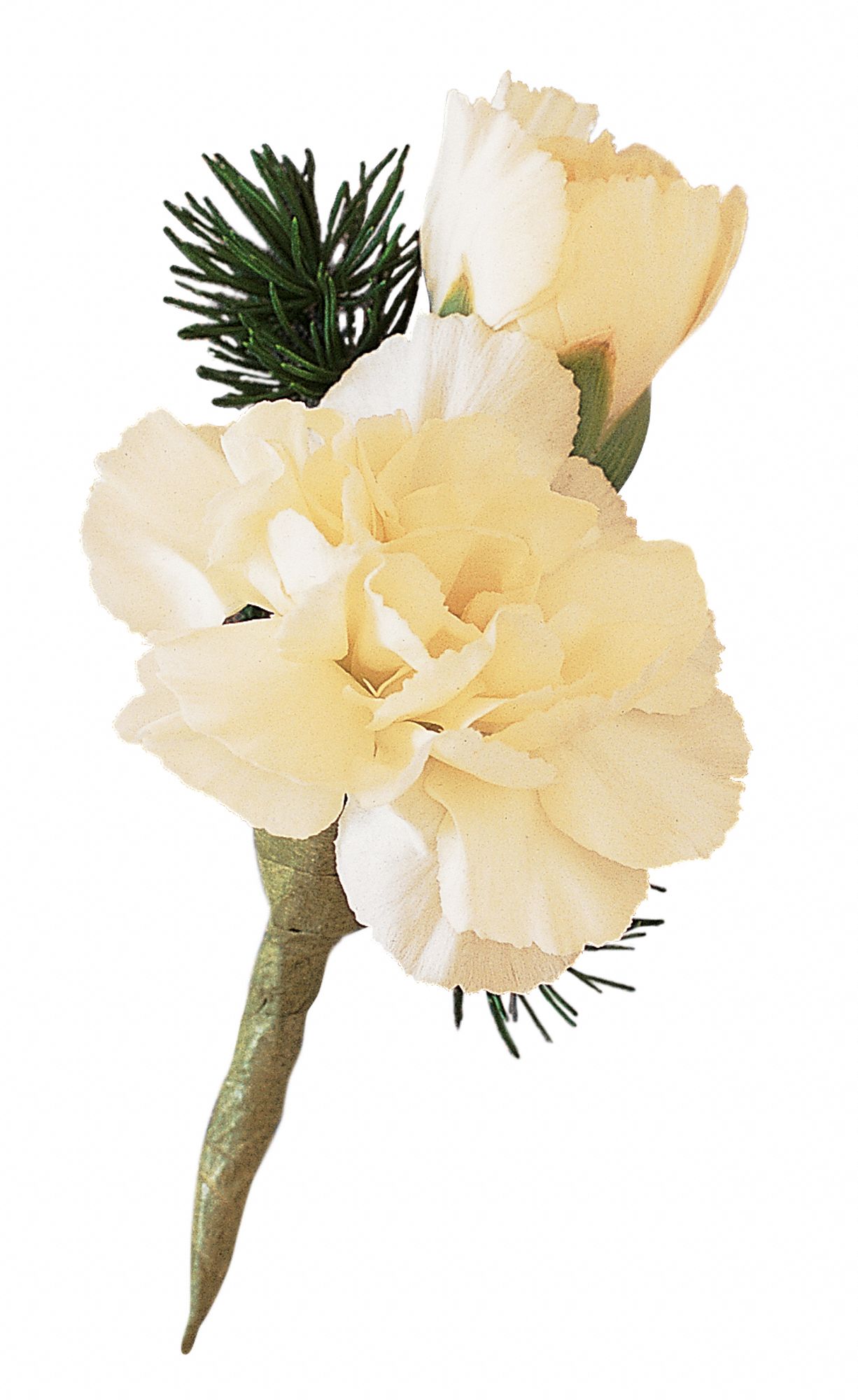 Miniature White Carnation Boutonniere in West Hills&nbsp;CA, Flowers On the Hills