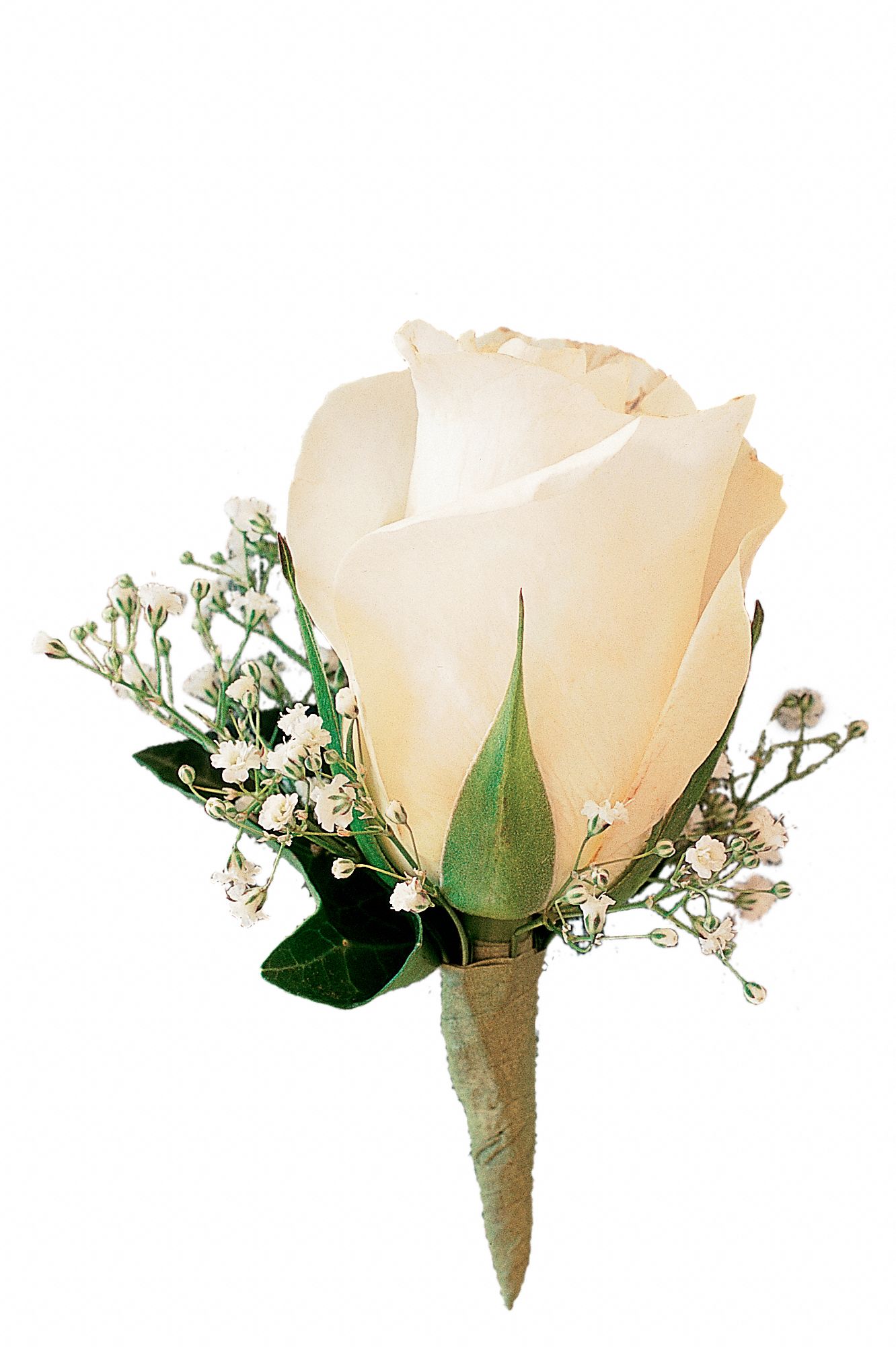 White Rose and Baby's Breath Boutonniere graphic