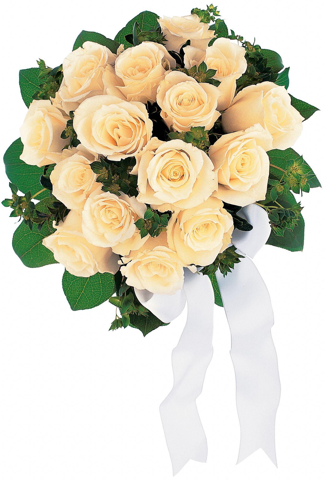 Bountiful White Roses Nosegay in Spruce Grove&nbsp;AB, Panda Flowers Spruce Grove