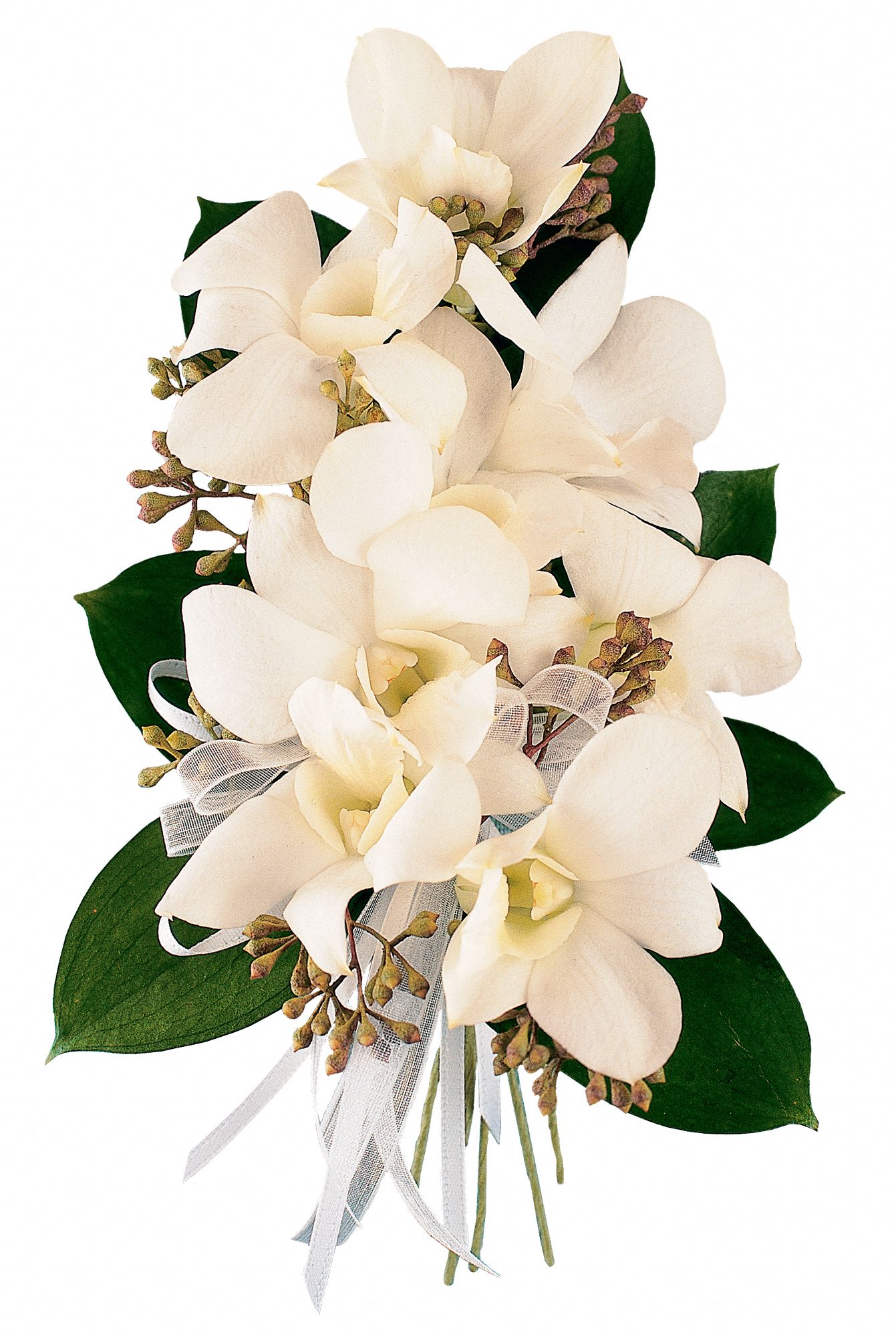 White Dendrobium Corsage in West Hills&nbsp;CA, Flowers On the Hills