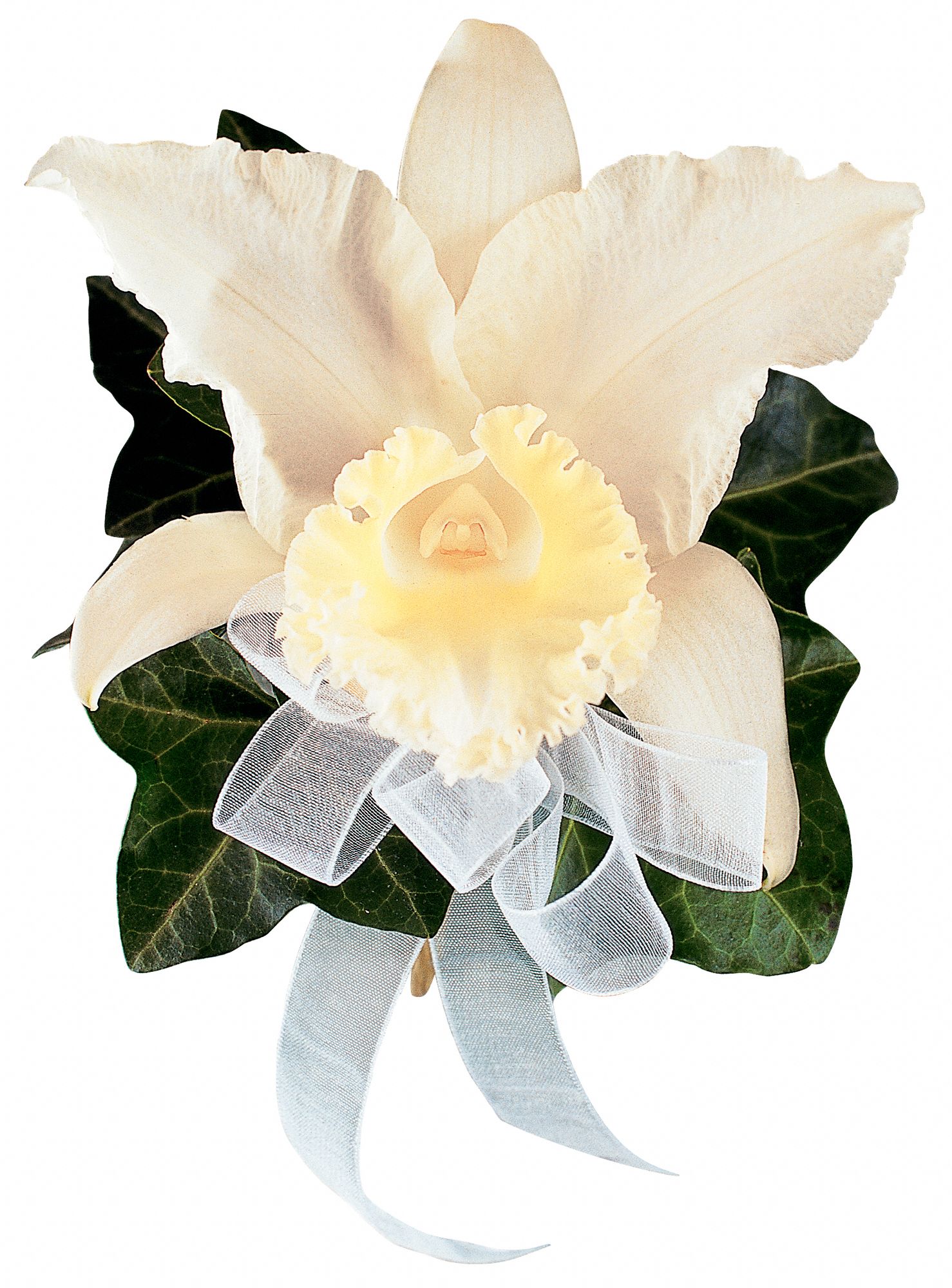 Japhet Orchid Corsage in West Hills&nbsp;CA, Flowers On the Hills